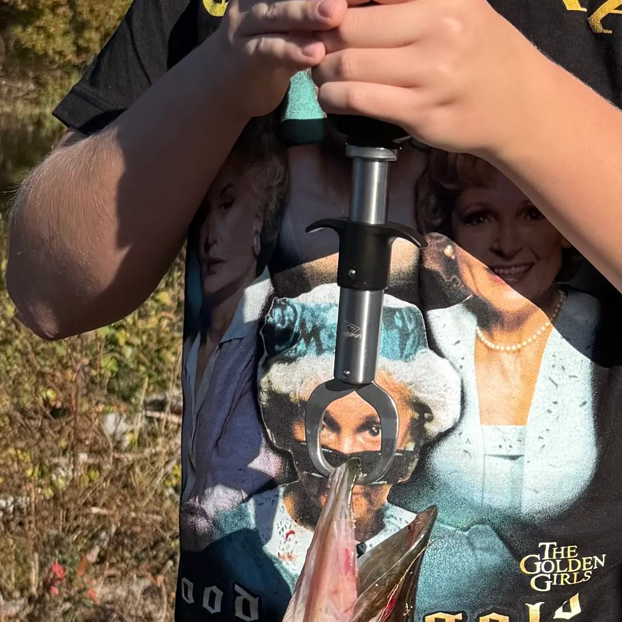 Chain pickerel caught on Fishbrain