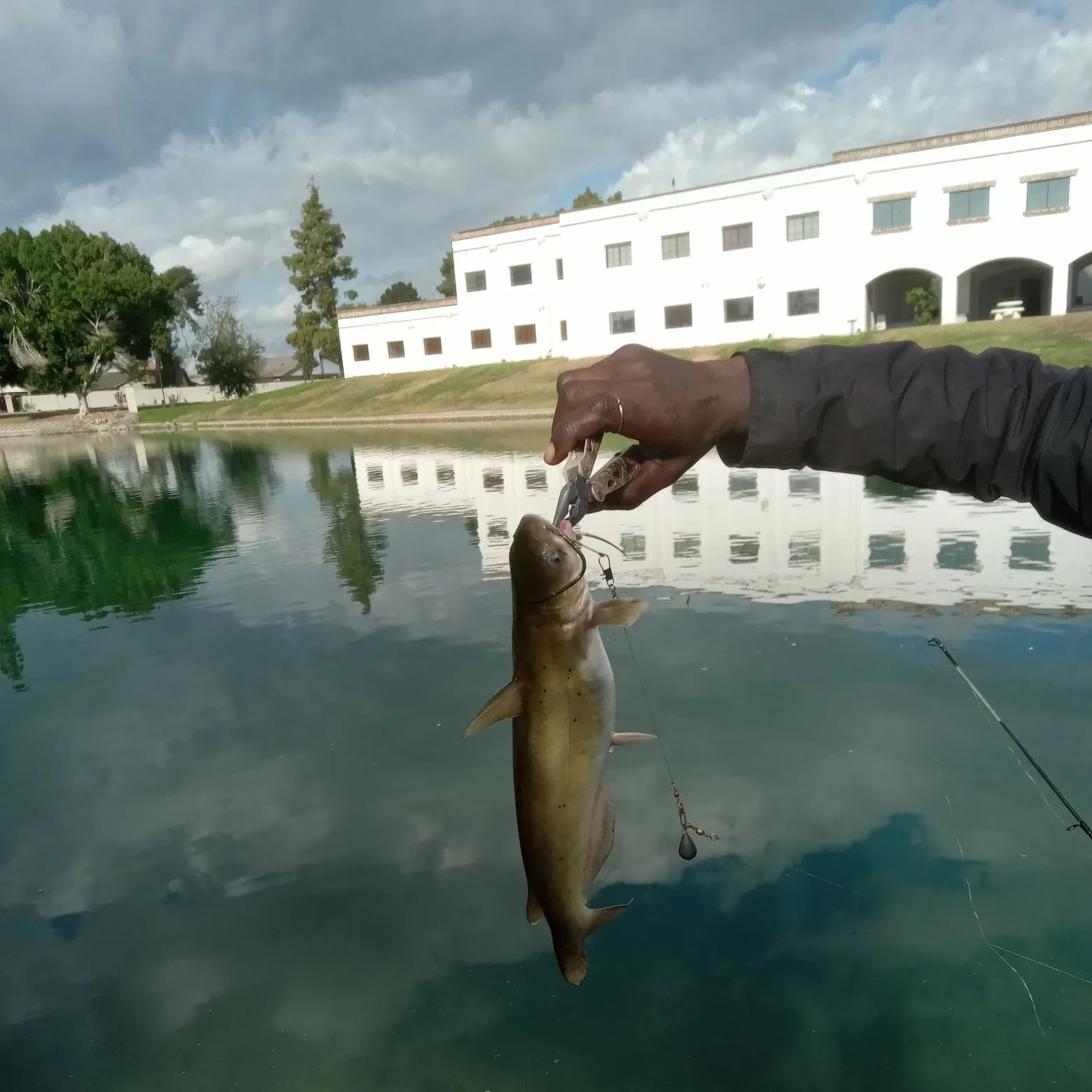 The most recent Channel catfish catches on Fishbrain