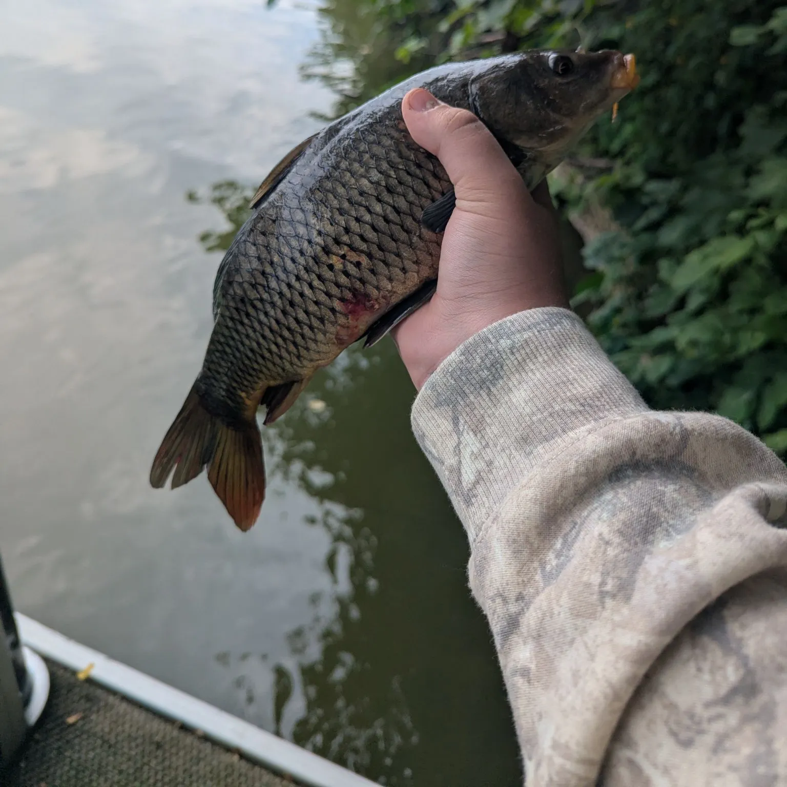 catch