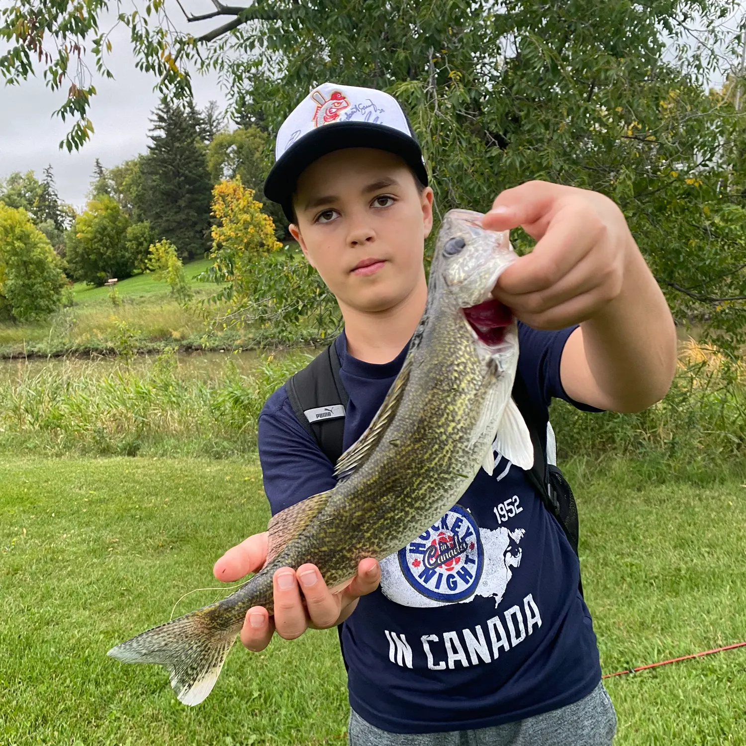 Walleye caught on Fishbrain