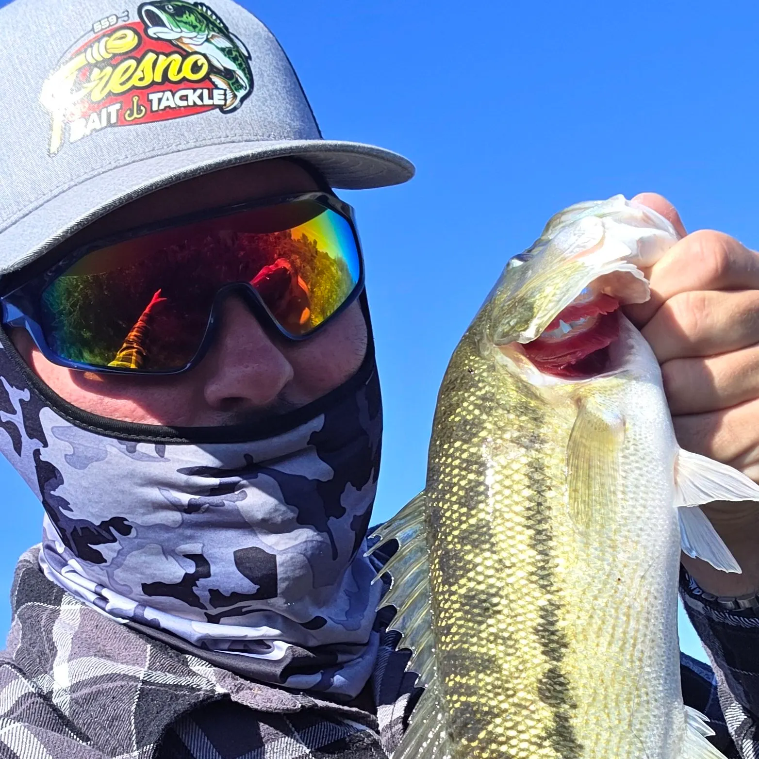 The most recent Spotted bass catches on Fishbrain