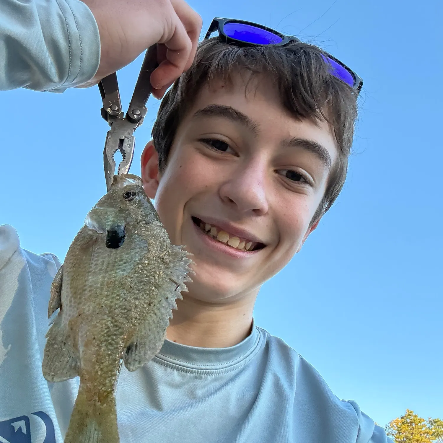 Bluegill caught on Fishbrain