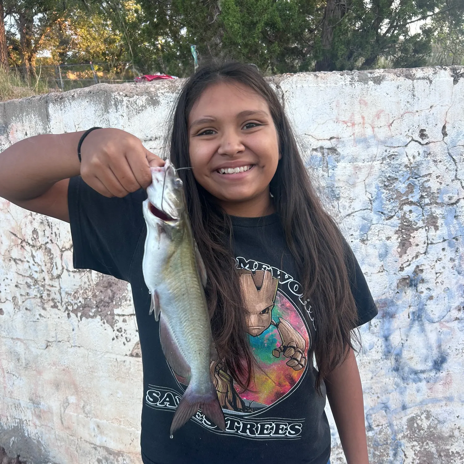 Channel catfish caught on Fishbrain