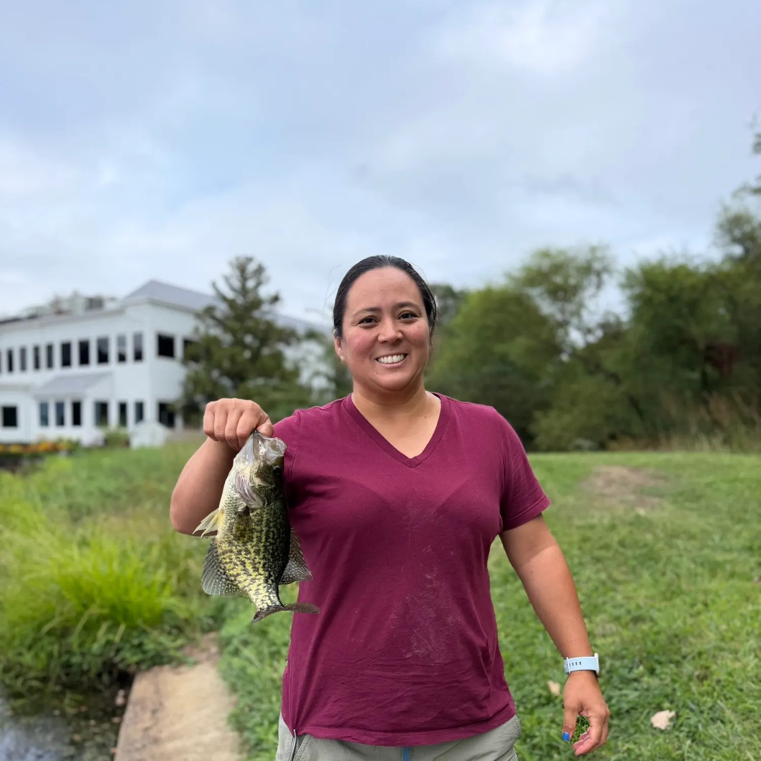 Black crappie caught on Fishbrain
