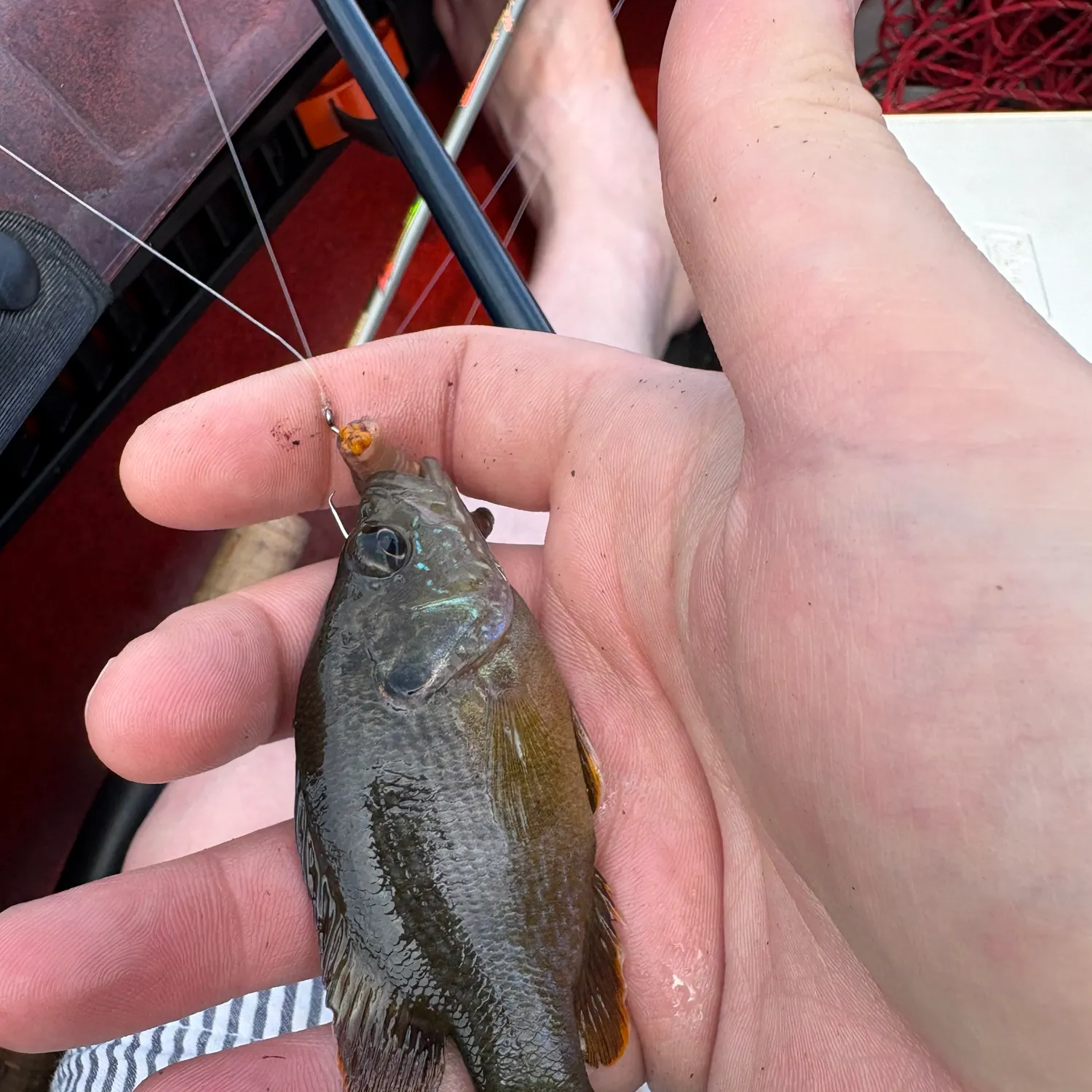 catch
