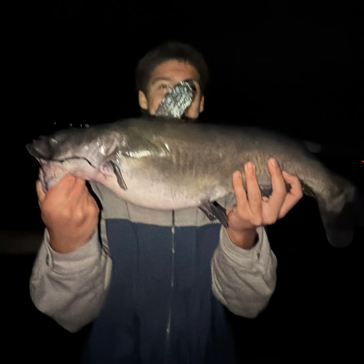 Channel catfish caught on Fishbrain