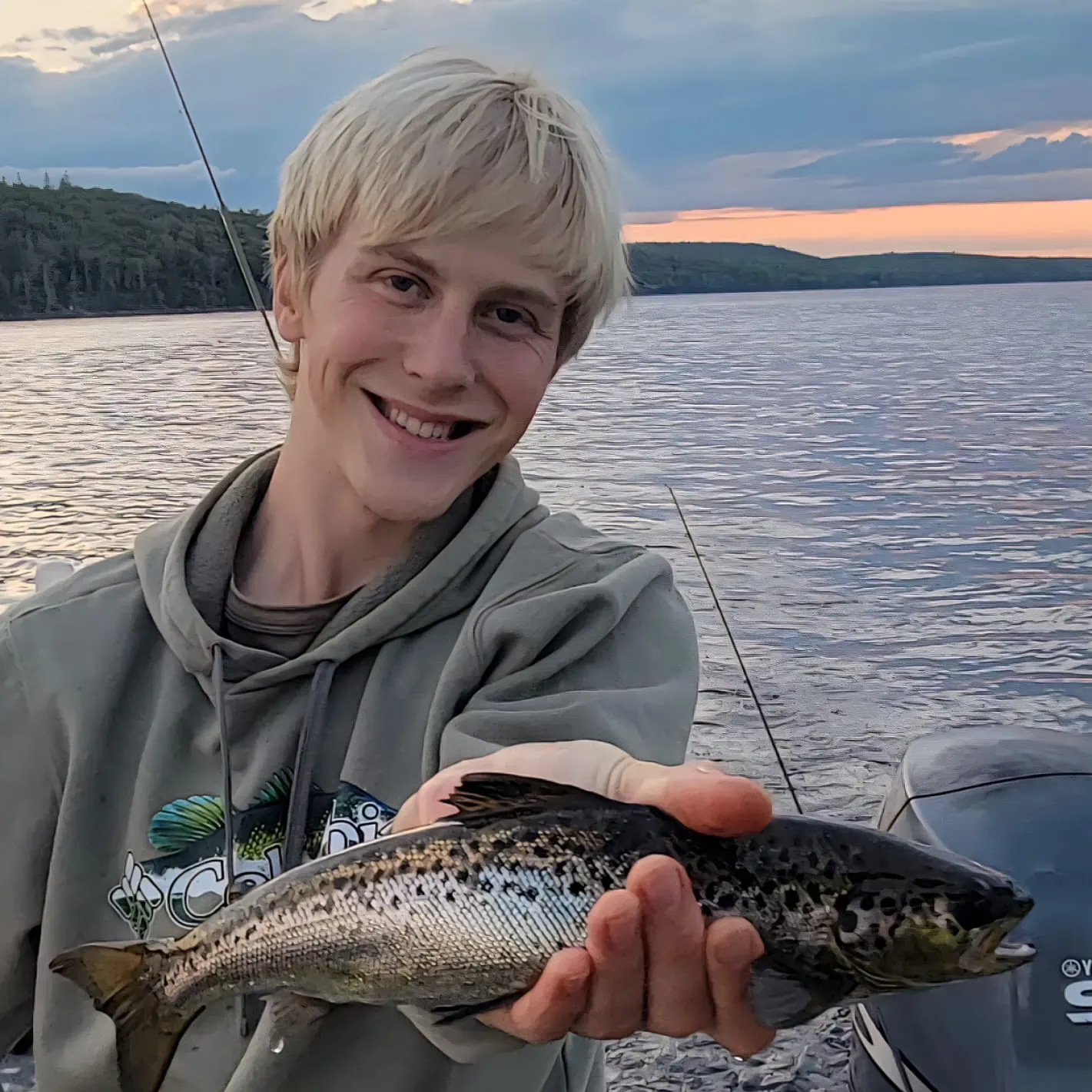 Landlocked atlantic salmon caught on Fishbrain