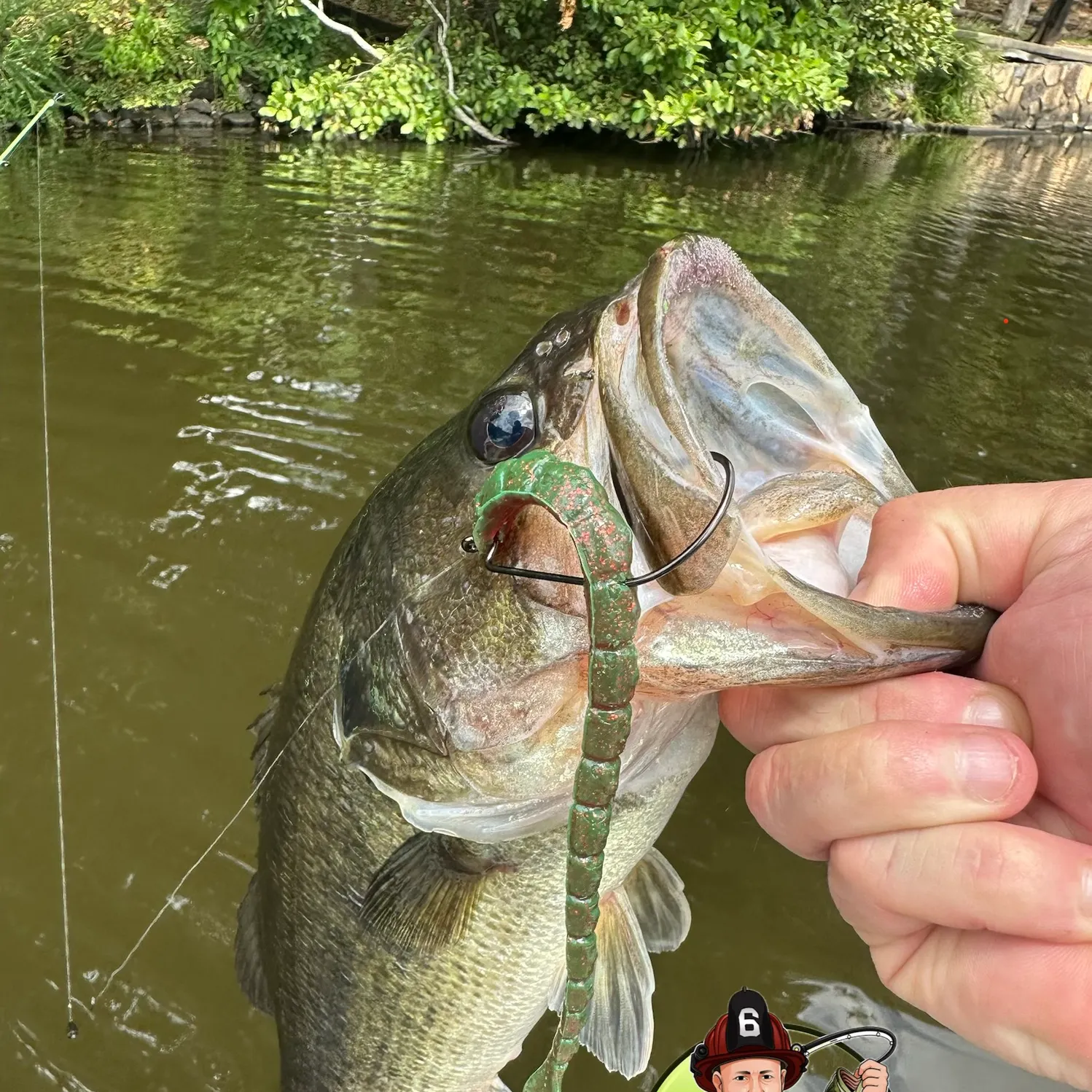 Largemouth bass caught on Fishbrain