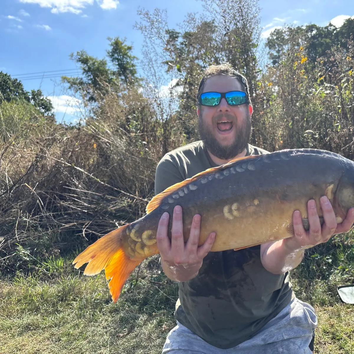 Mirror carp caught on Fishbrain