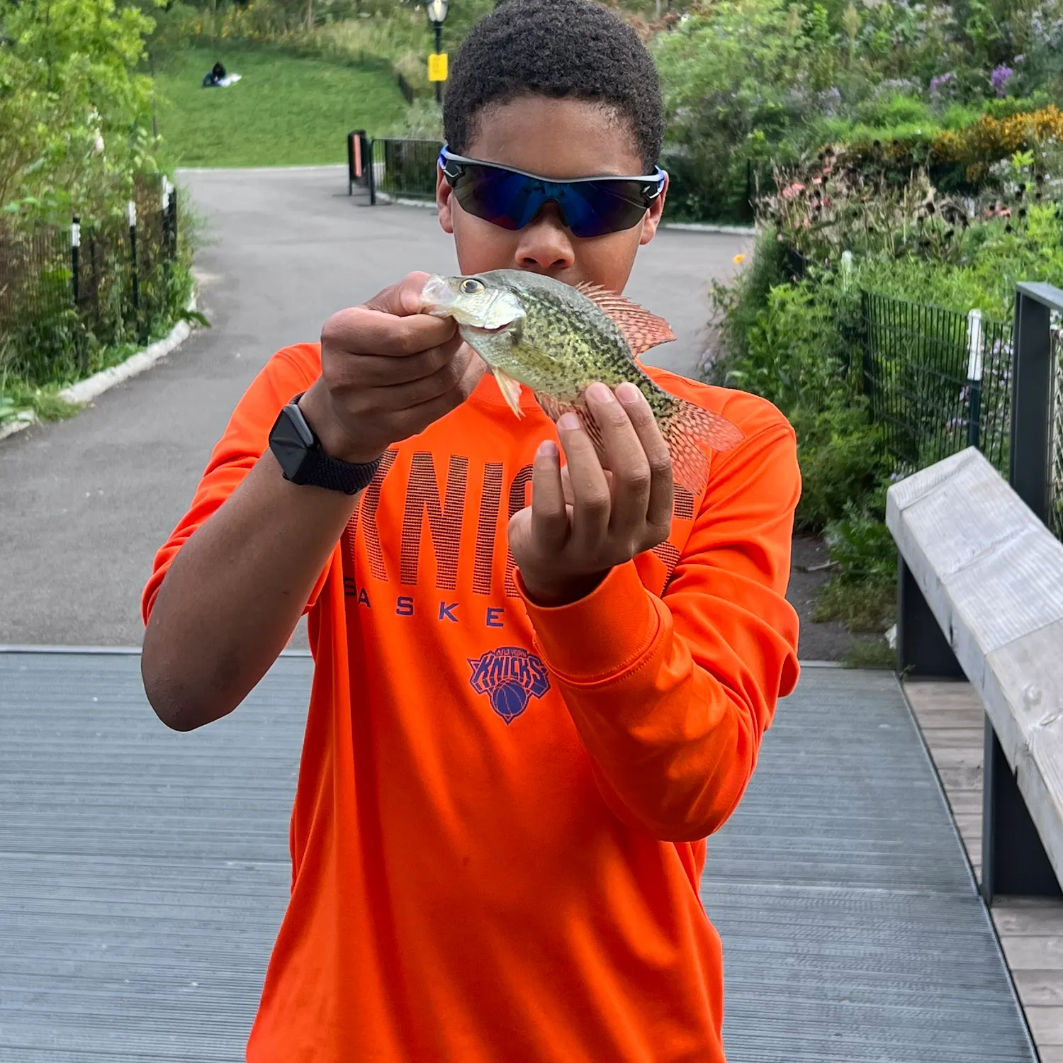 Black crappie caught on Fishbrain