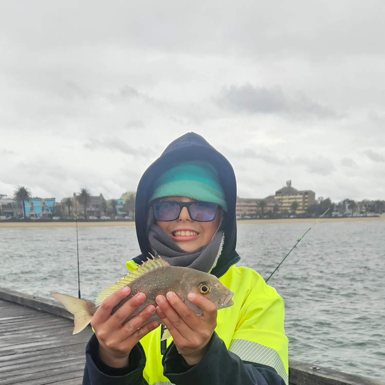 Australasian snapper caught on Fishbrain