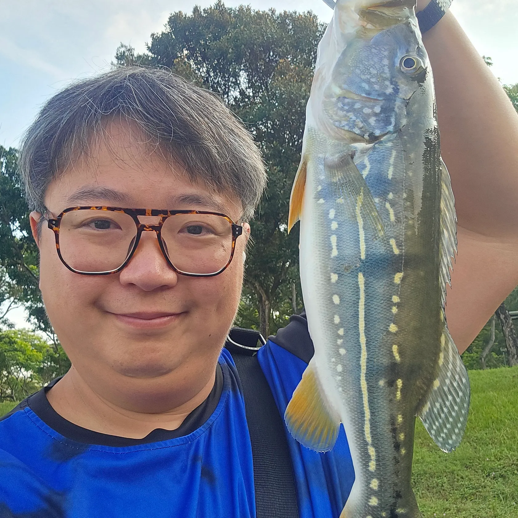 The most recent Speckled peacock bass catches on Fishbrain