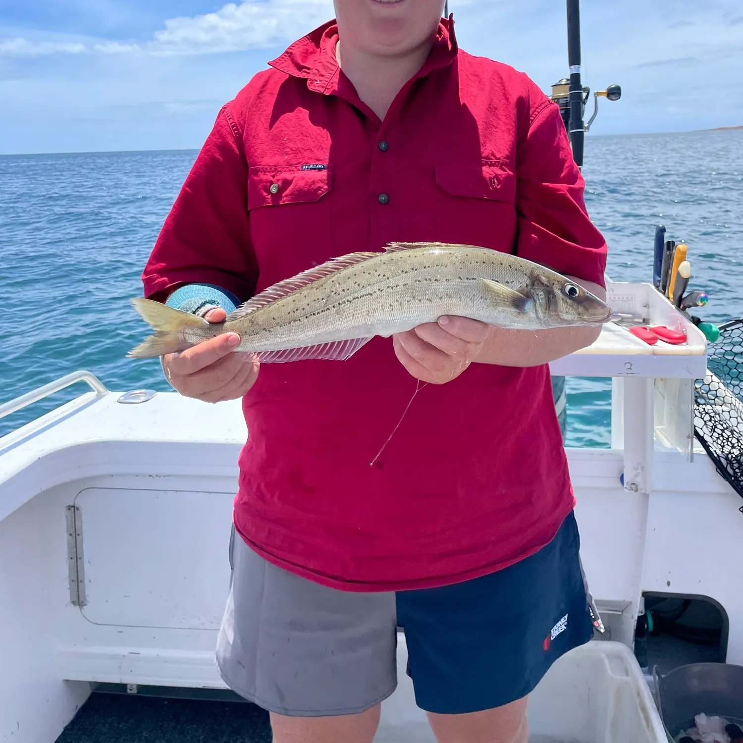 The most recent King George whiting catches on Fishbrain