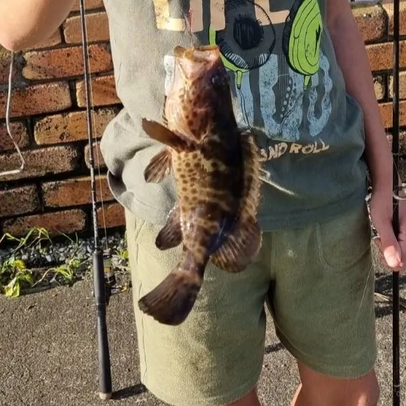 angler catch