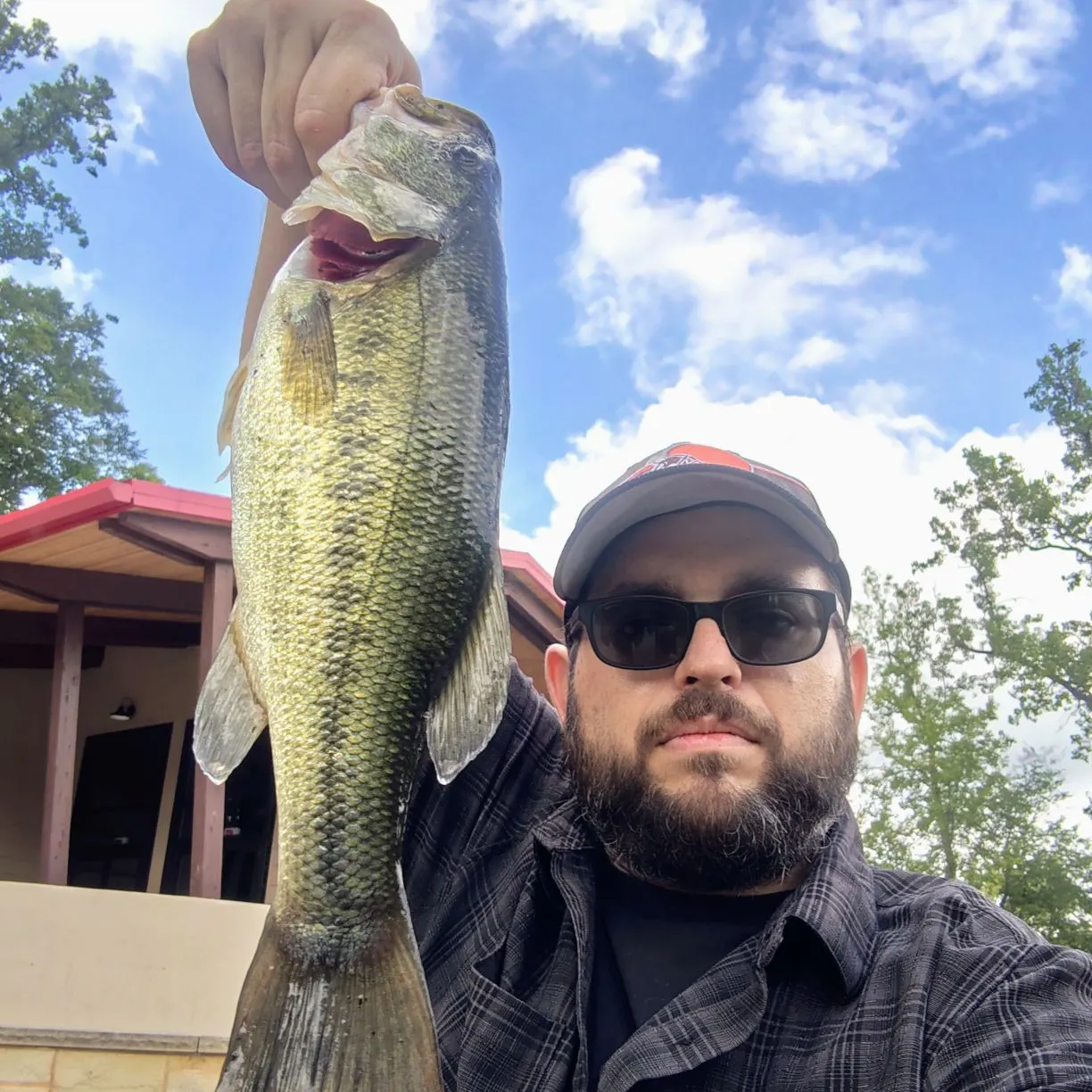 Largemouth bass caught on Fishbrain