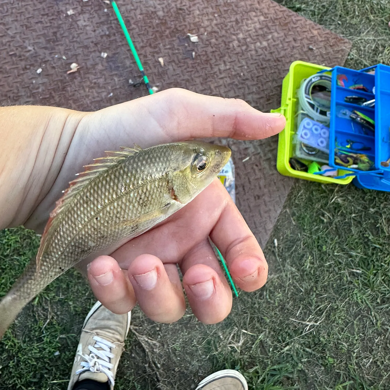 catch