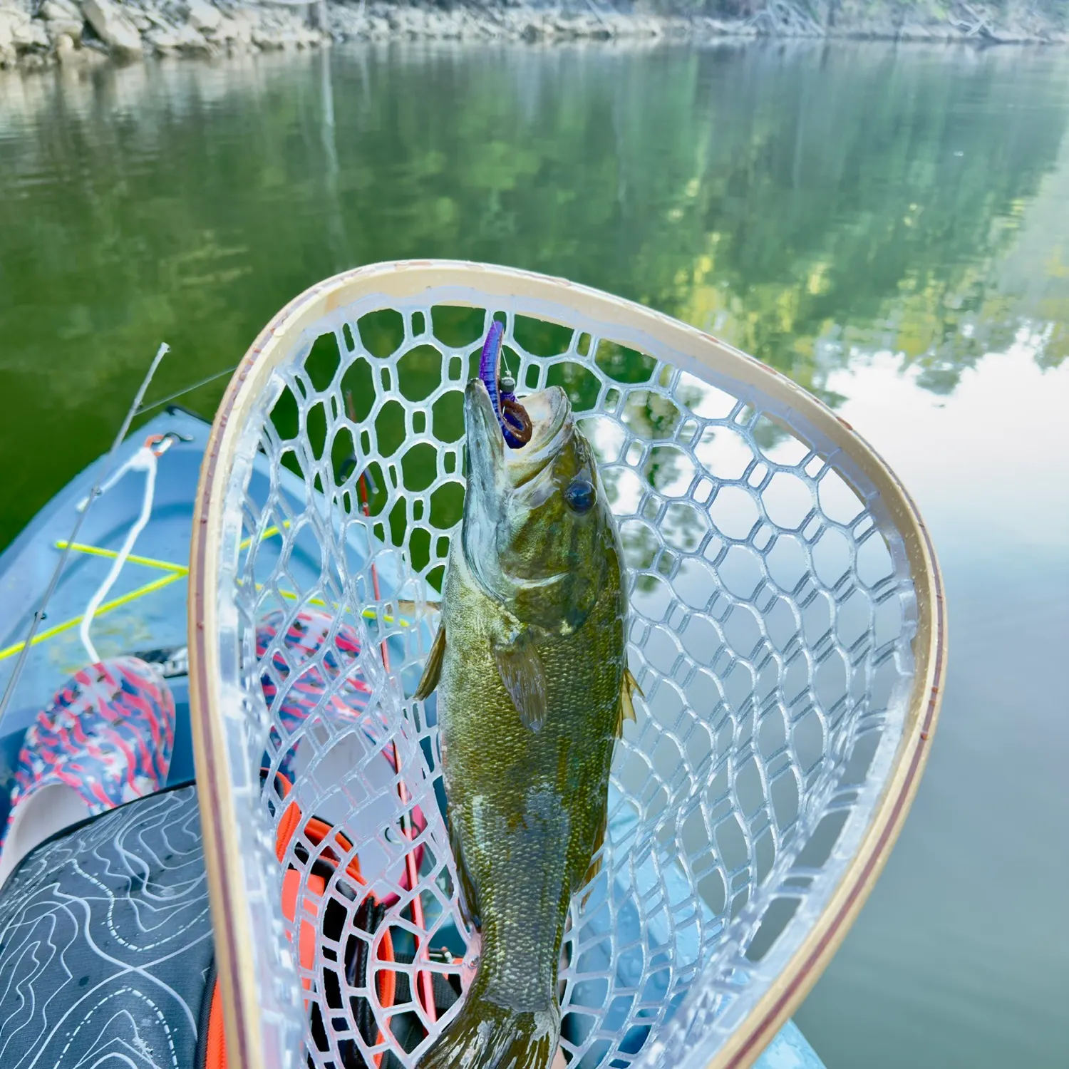The most recent Smallmouth bass catches on Fishbrain