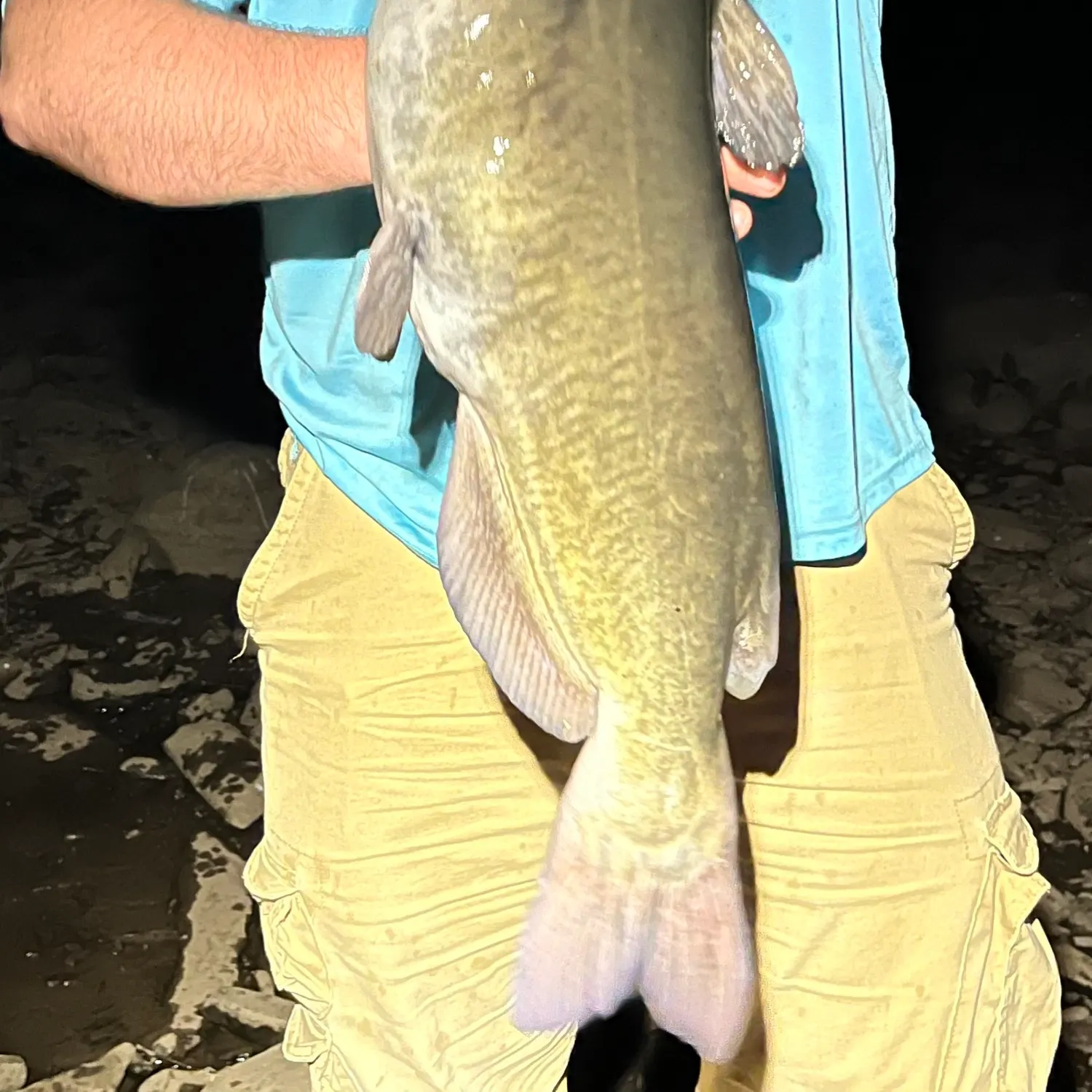 The most recent Channel catfish catches on Fishbrain