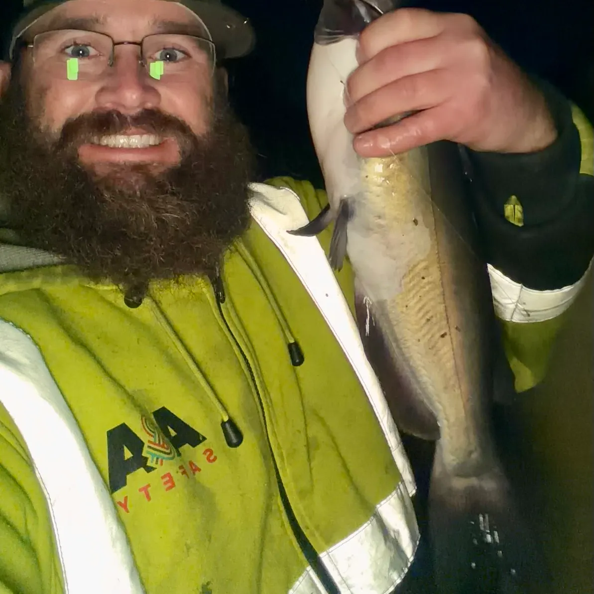 Channel catfish caught on Fishbrain