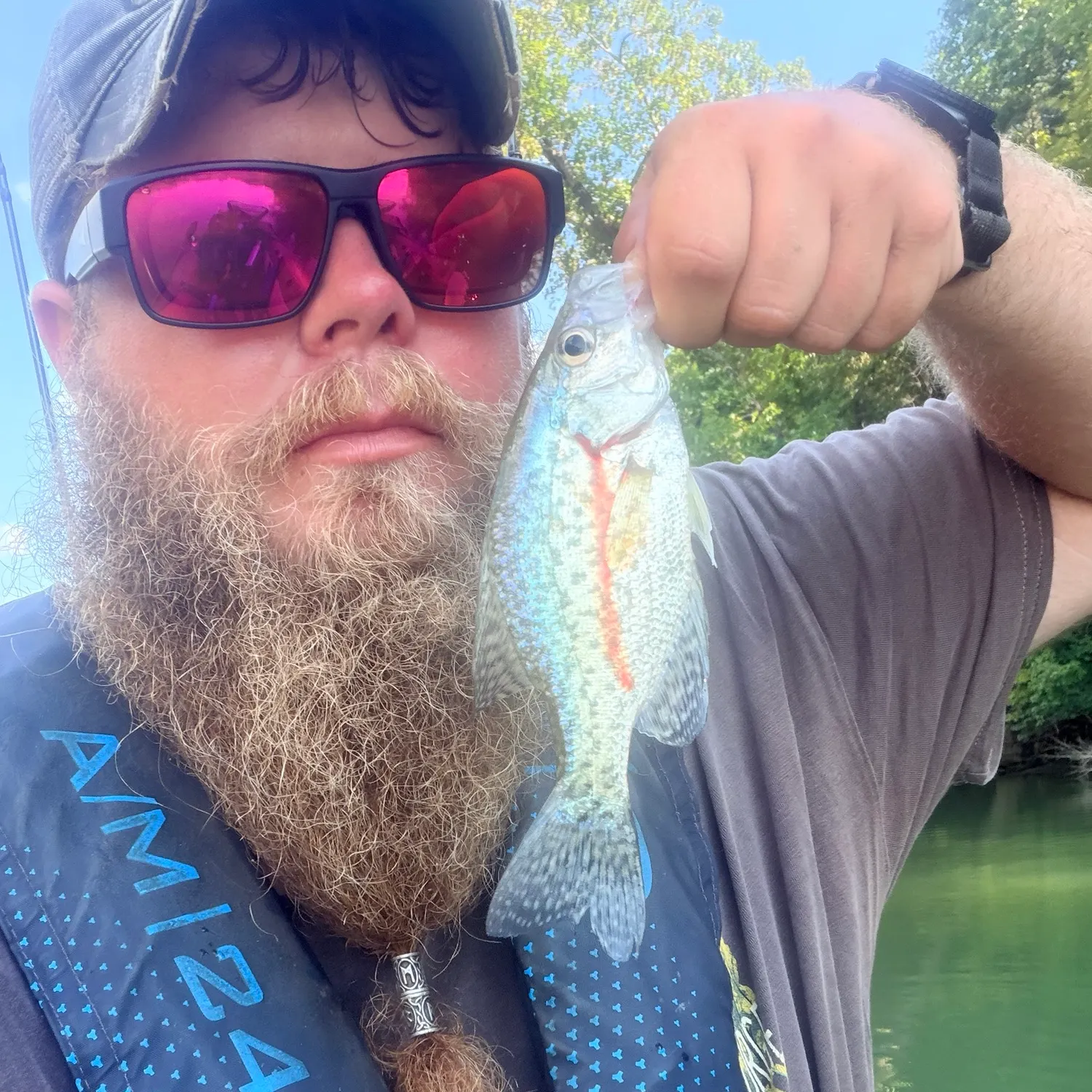 Black crappie caught on Fishbrain