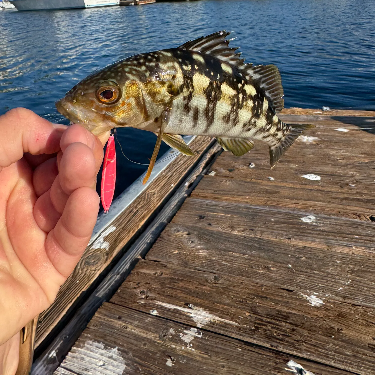catch