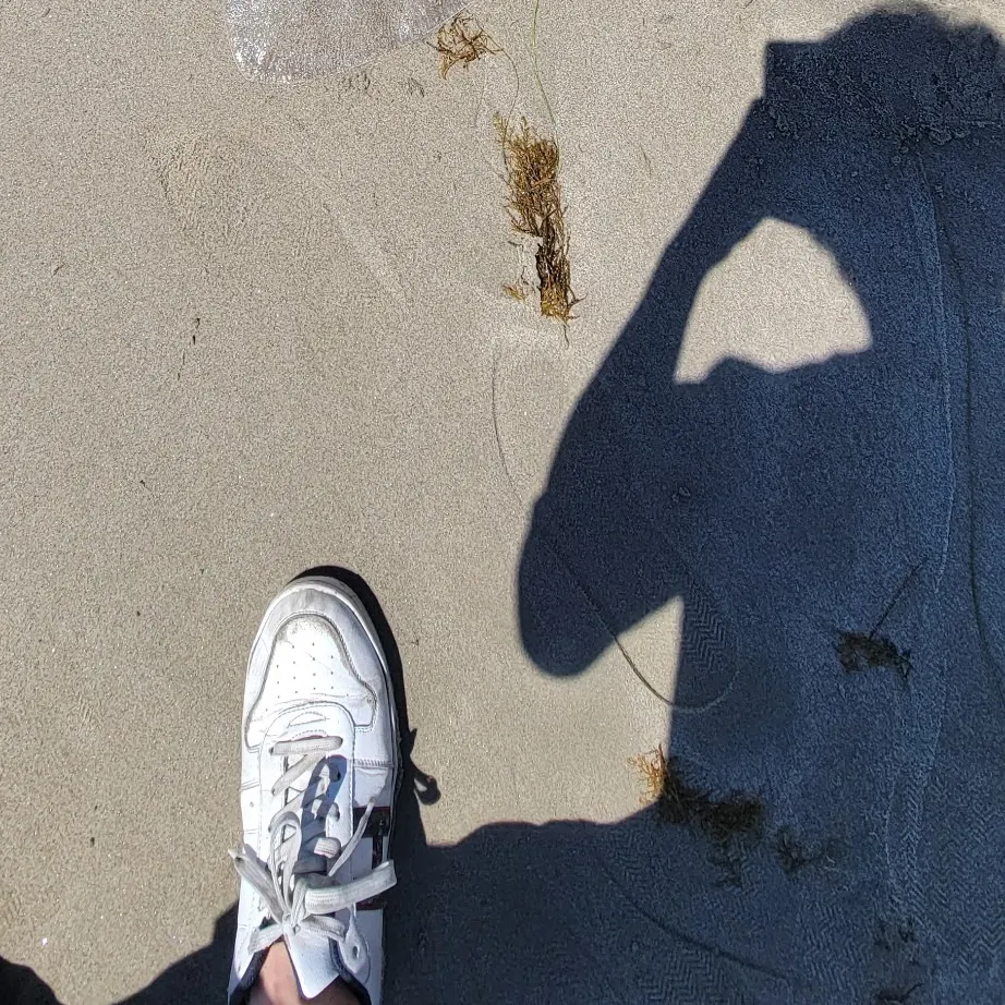 The most recent California butterfly ray catches on Fishbrain