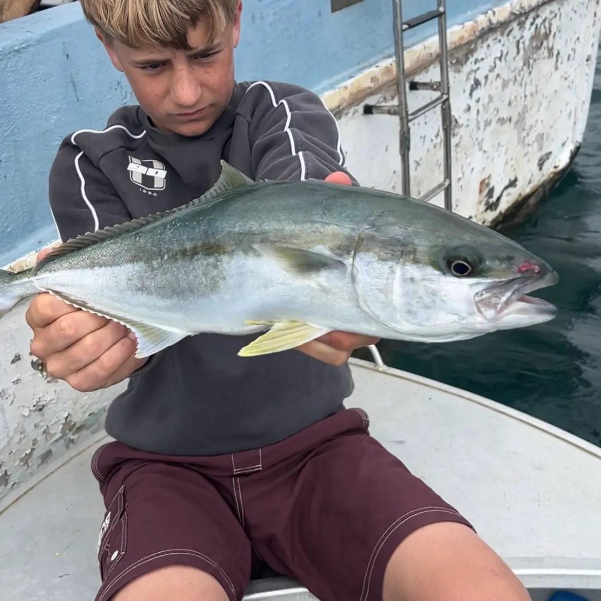 Southern yellowtail amberjack caught on Fishbrain