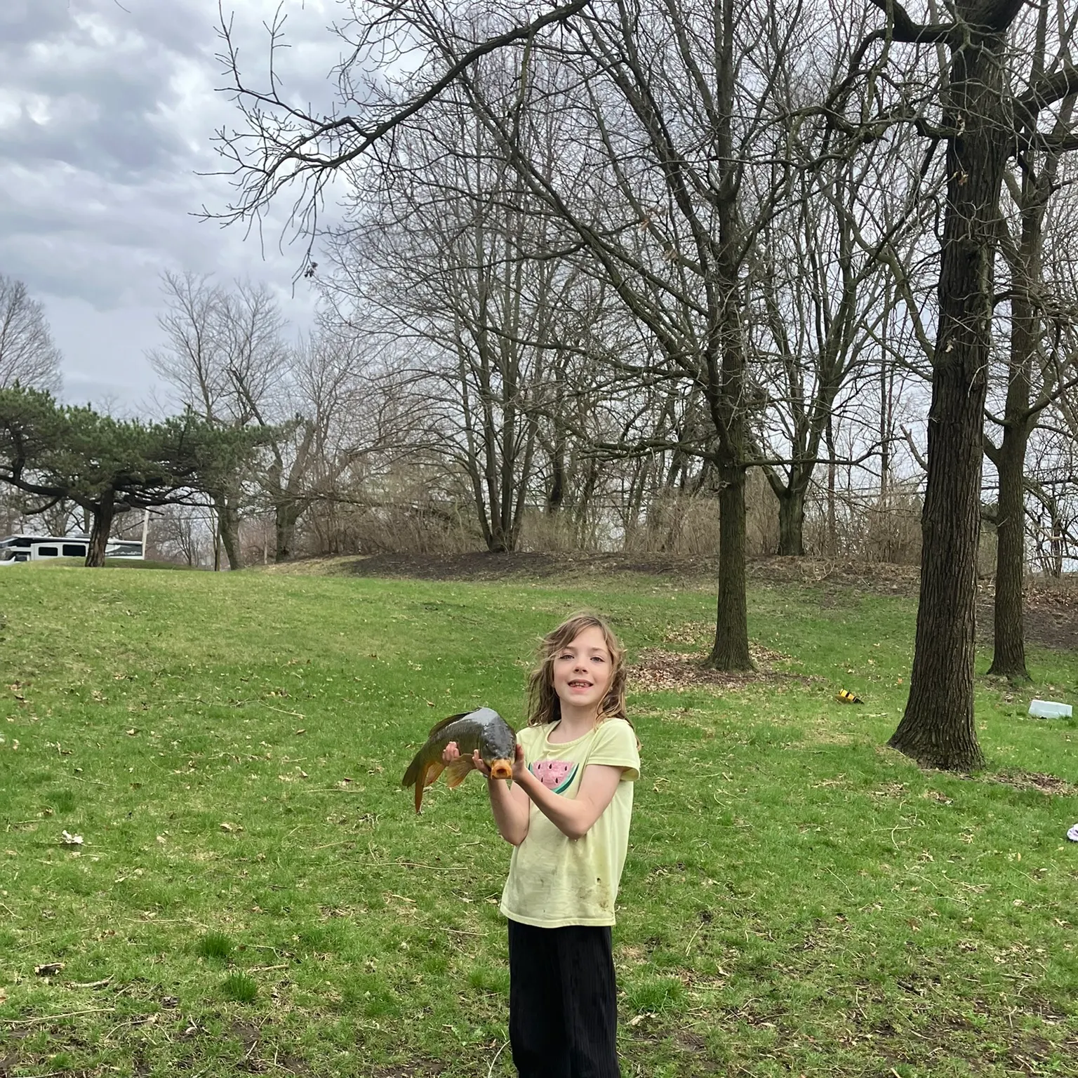 The most recent Common carp catches on Fishbrain