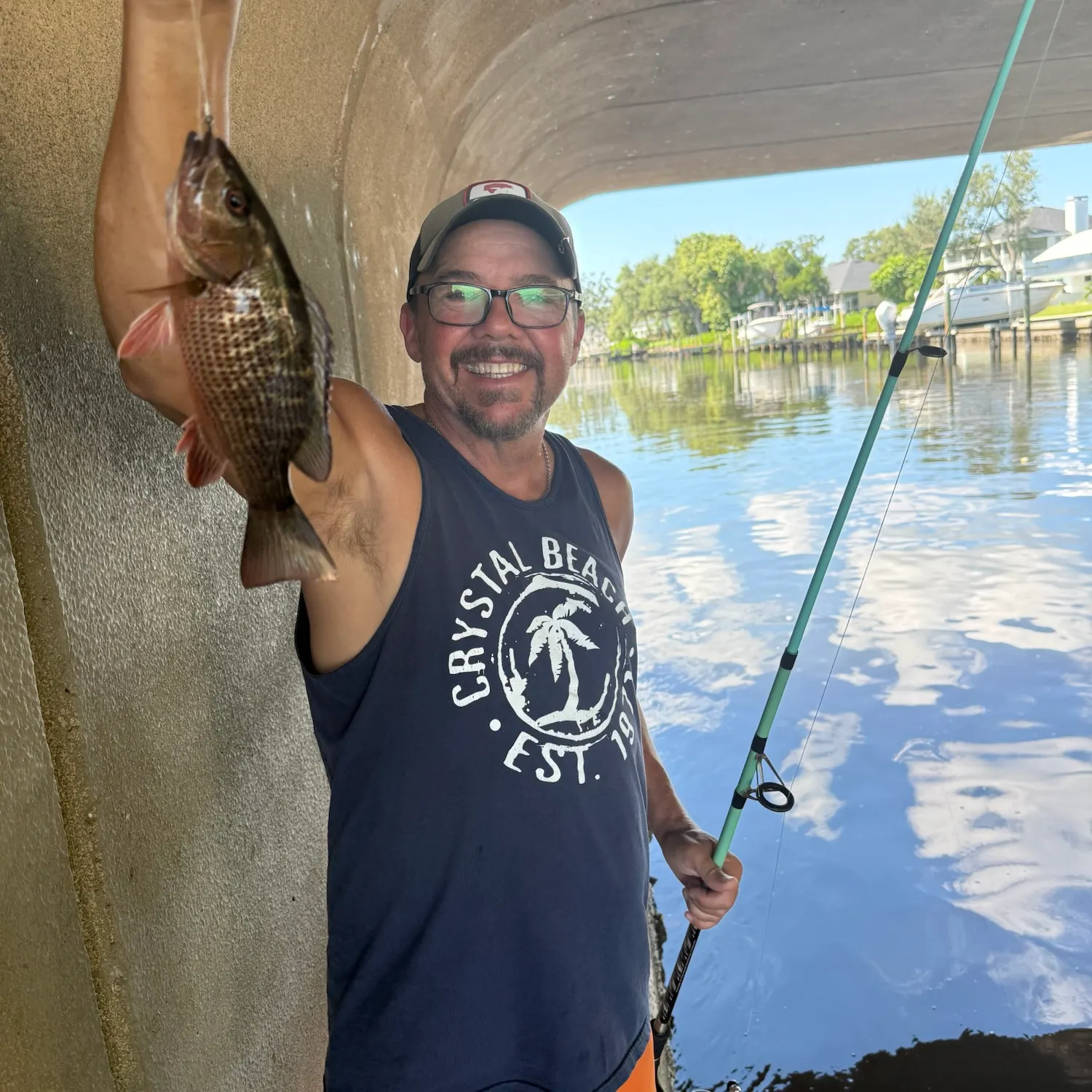 Mangrove snapper caught on Fishbrain