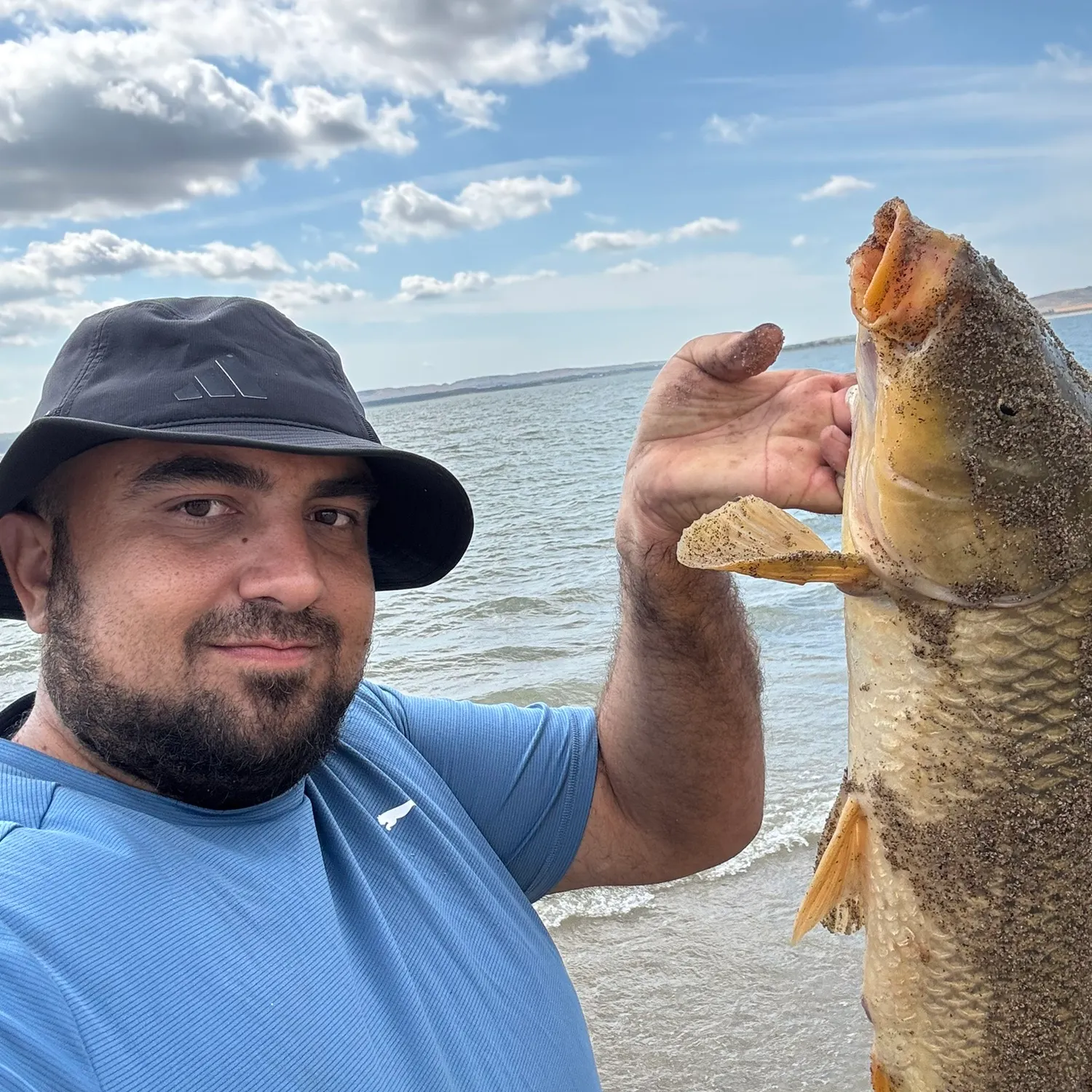 Common carp caught on Fishbrain