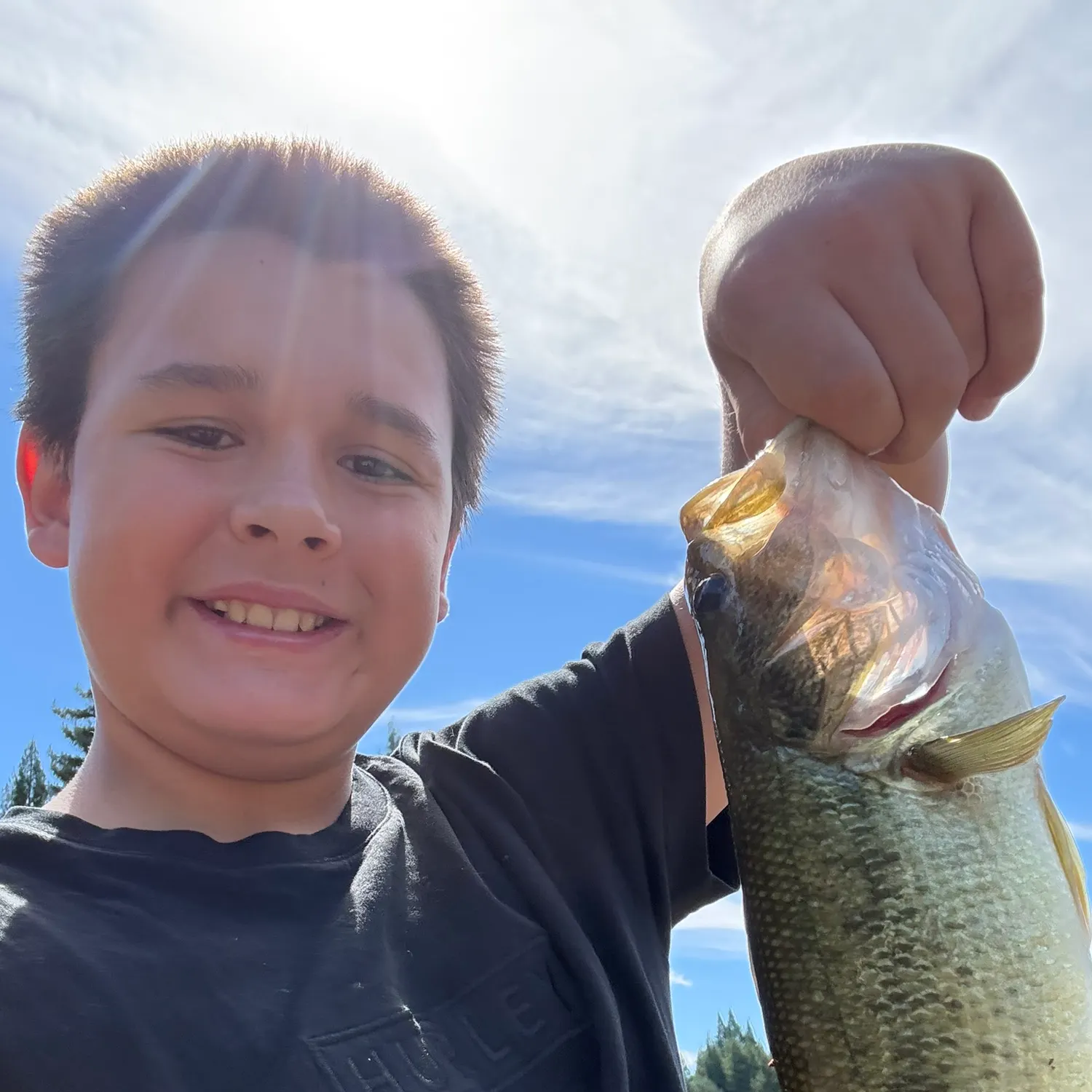 Largemouth bass caught on Fishbrain