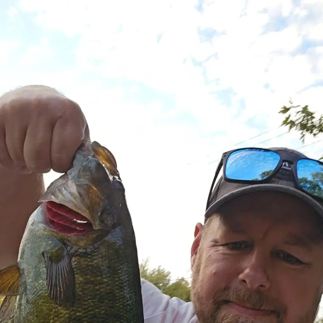 Smallmouth bass caught on Fishbrain