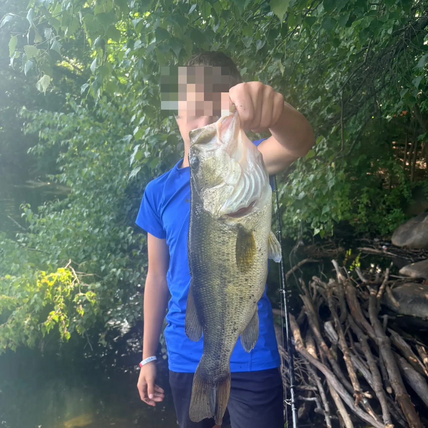 Largemouth bass caught on Fishbrain