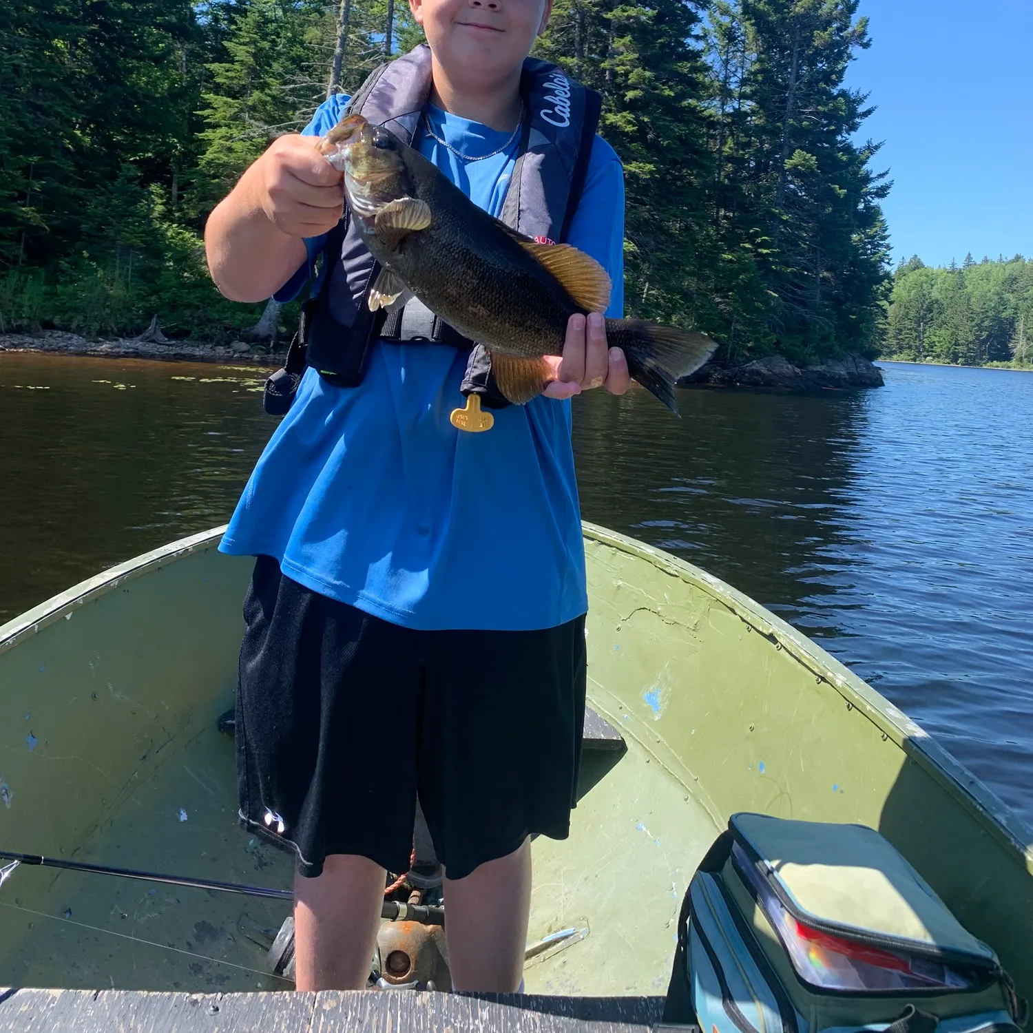 The most recent Smallmouth bass catches on Fishbrain