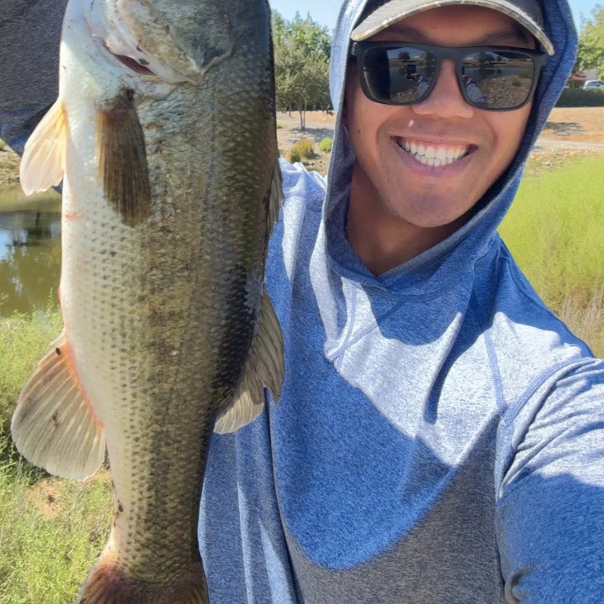 Largemouth bass caught on Fishbrain