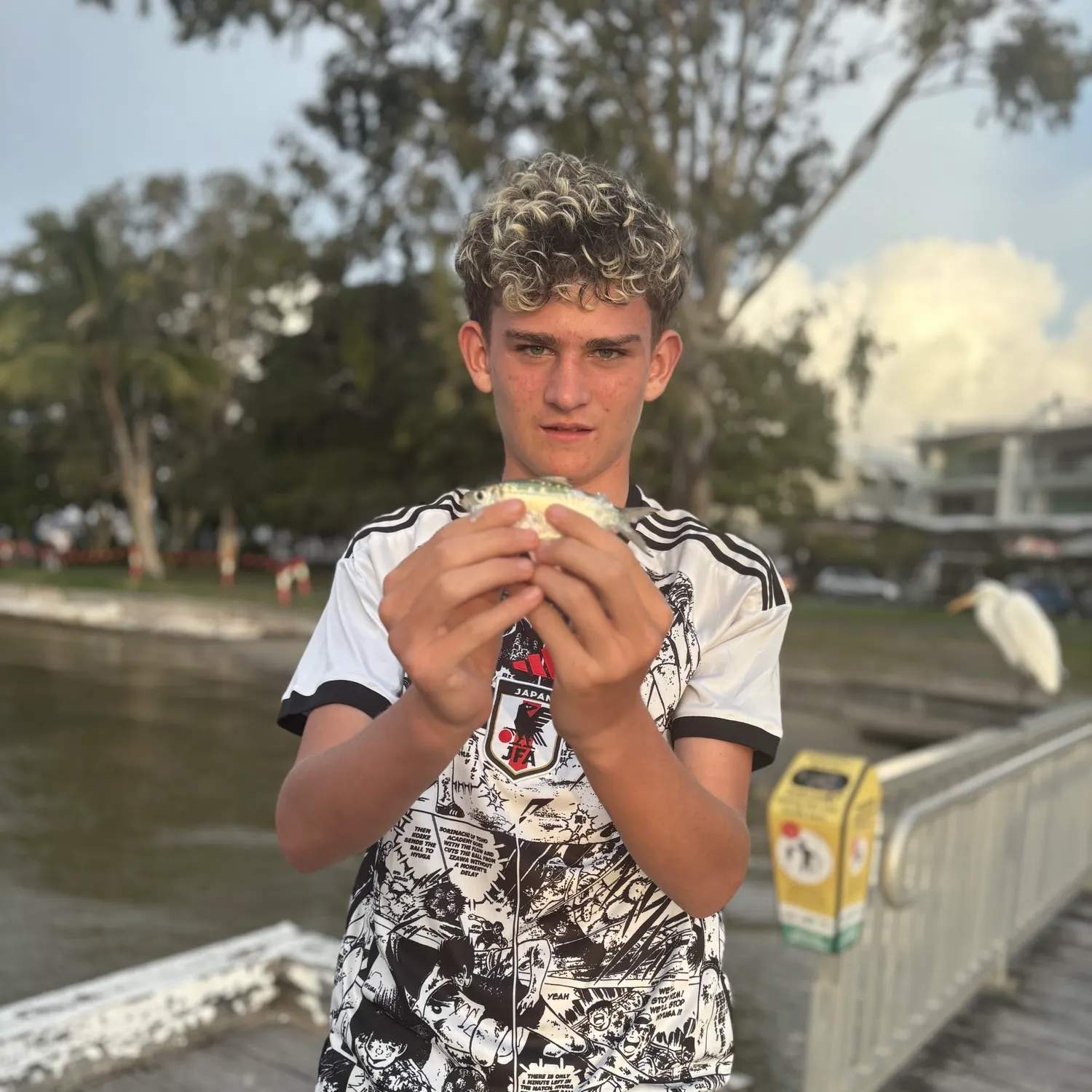 The most recent Castelnau's herring catches on Fishbrain