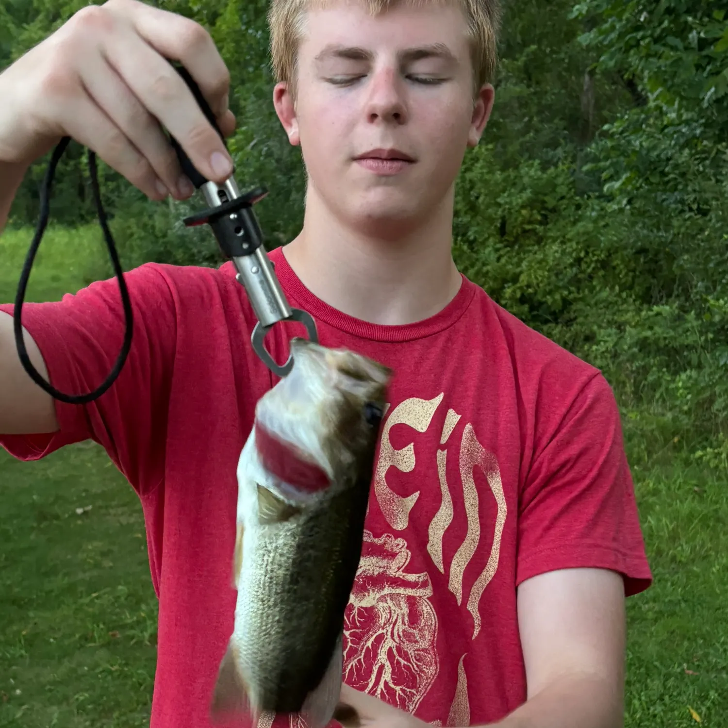 Largemouth bass caught on Fishbrain