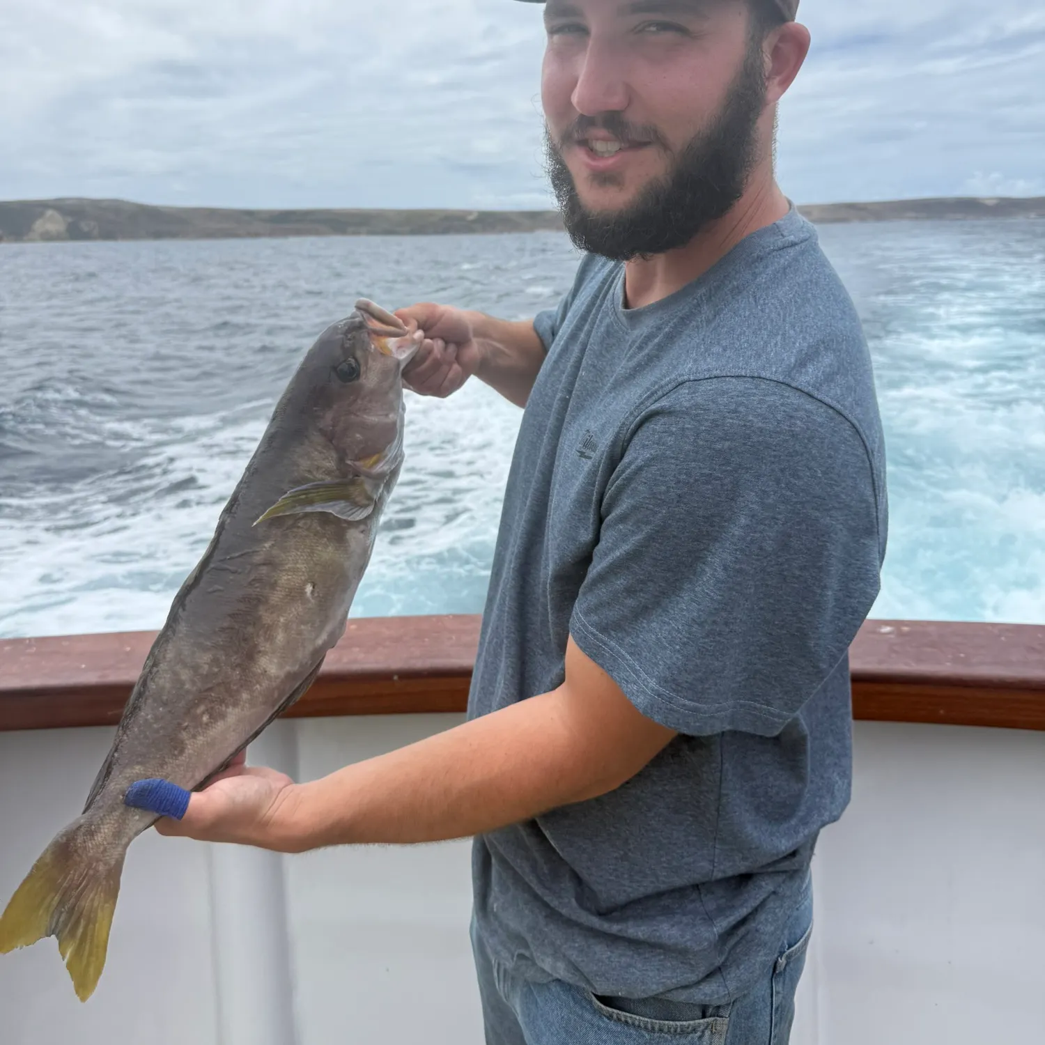 The most recent Ocean whitefish catches on Fishbrain