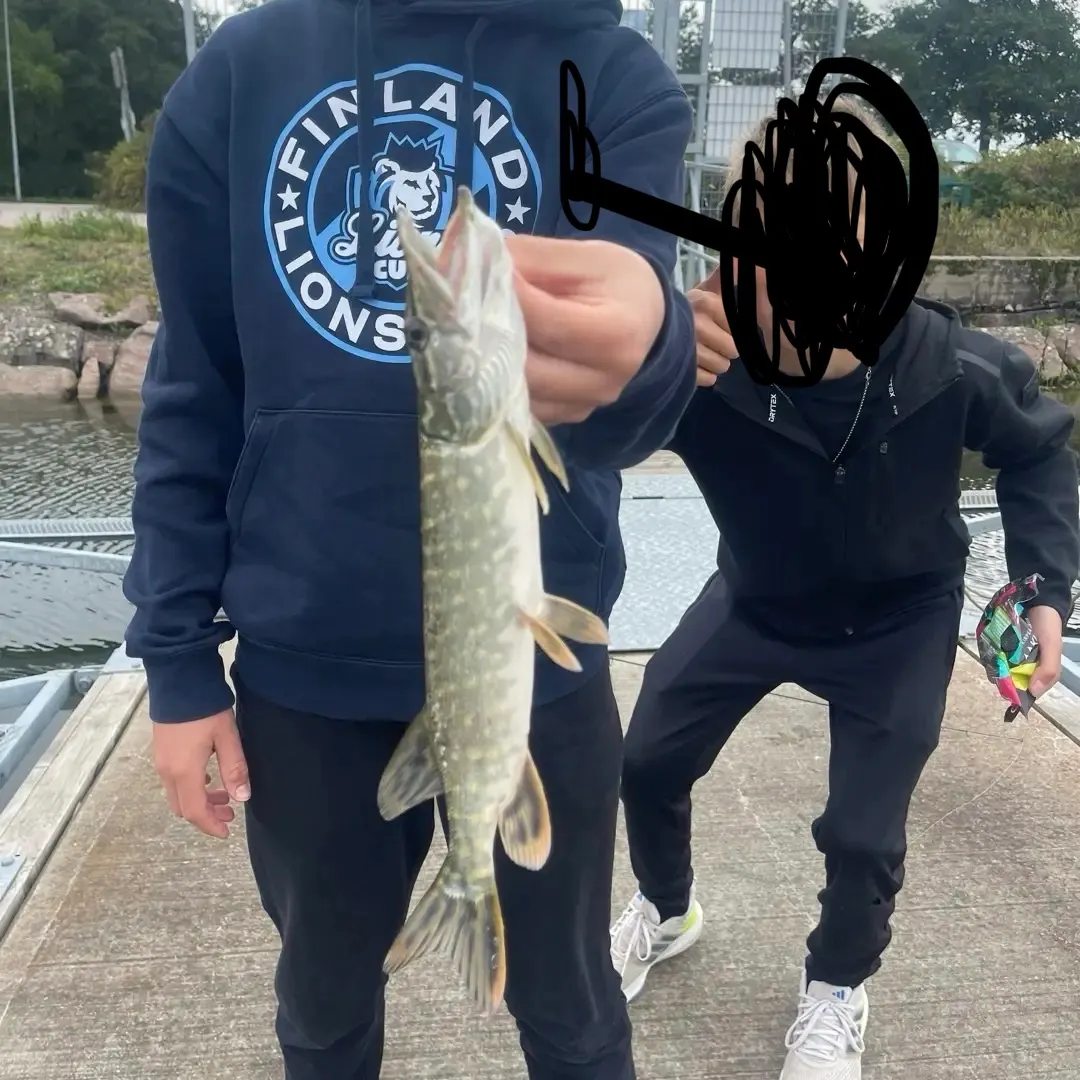 Northern pike caught on Fishbrain