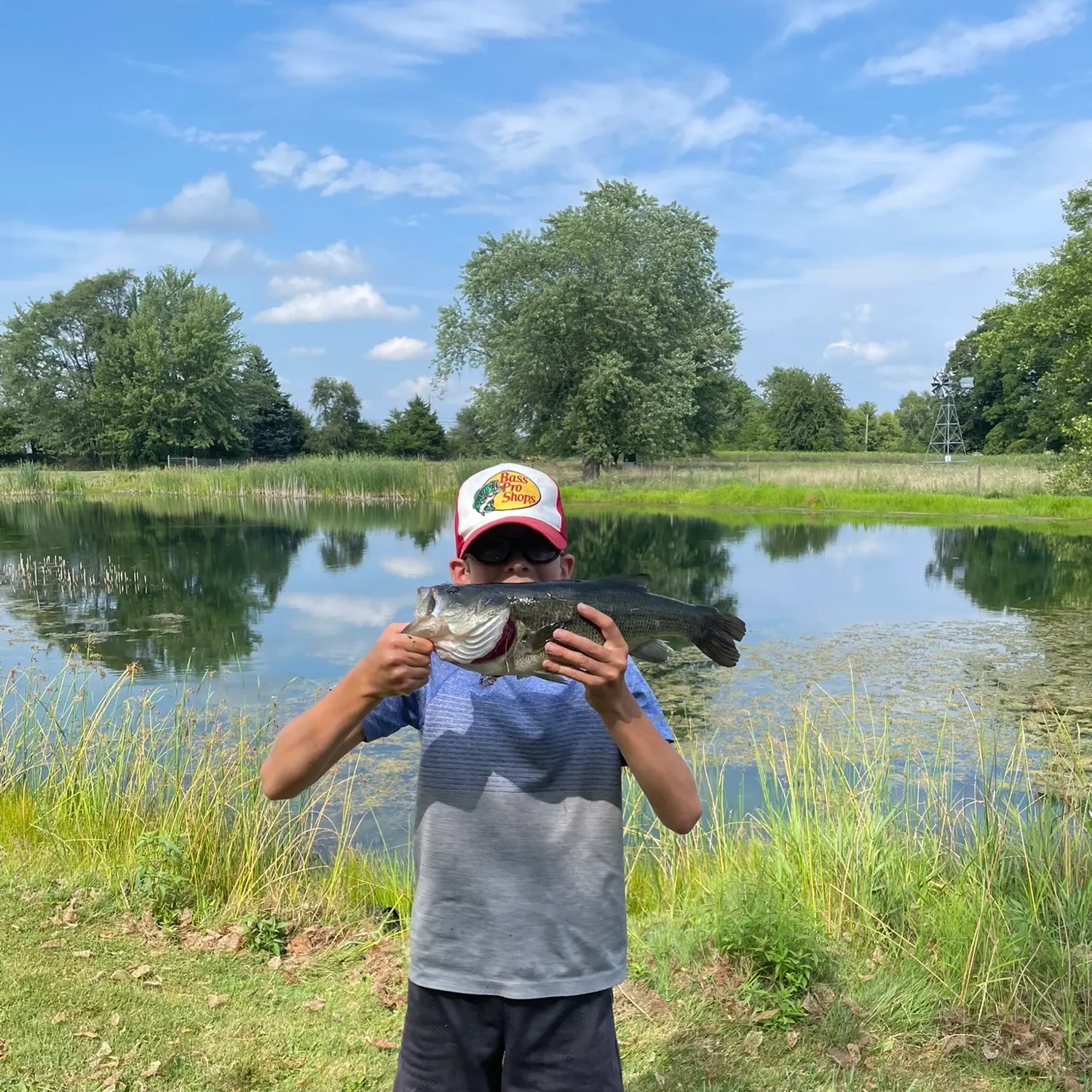 Largemouth bass caught on Fishbrain