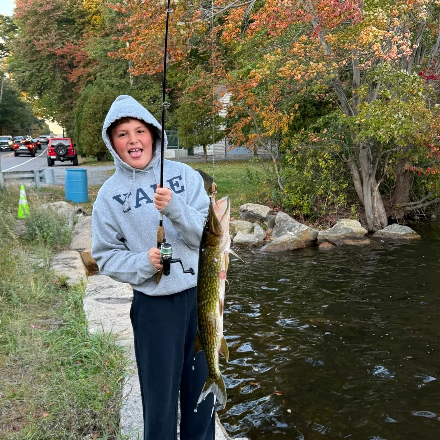 Chain pickerel caught on Fishbrain