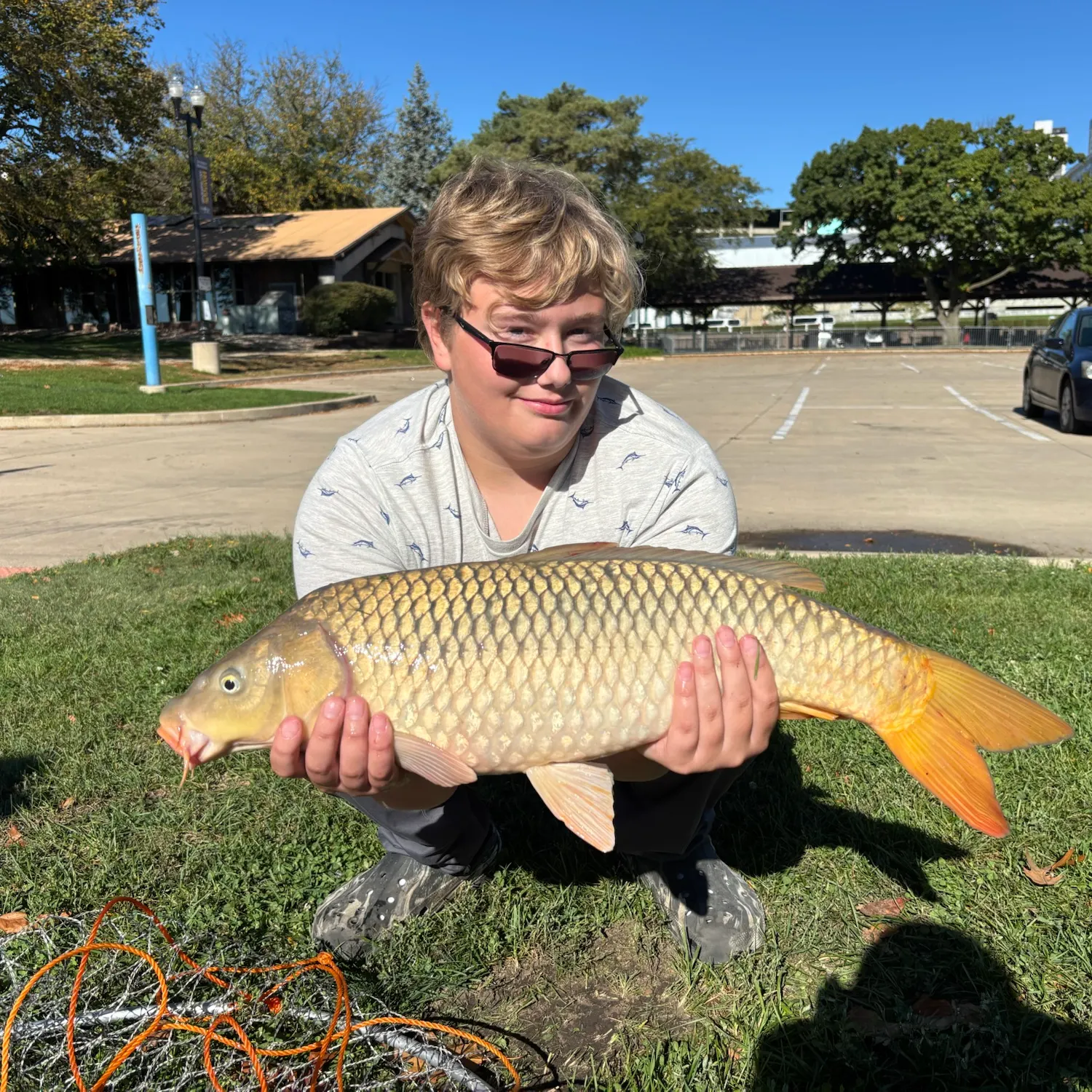Common carp caught on Fishbrain