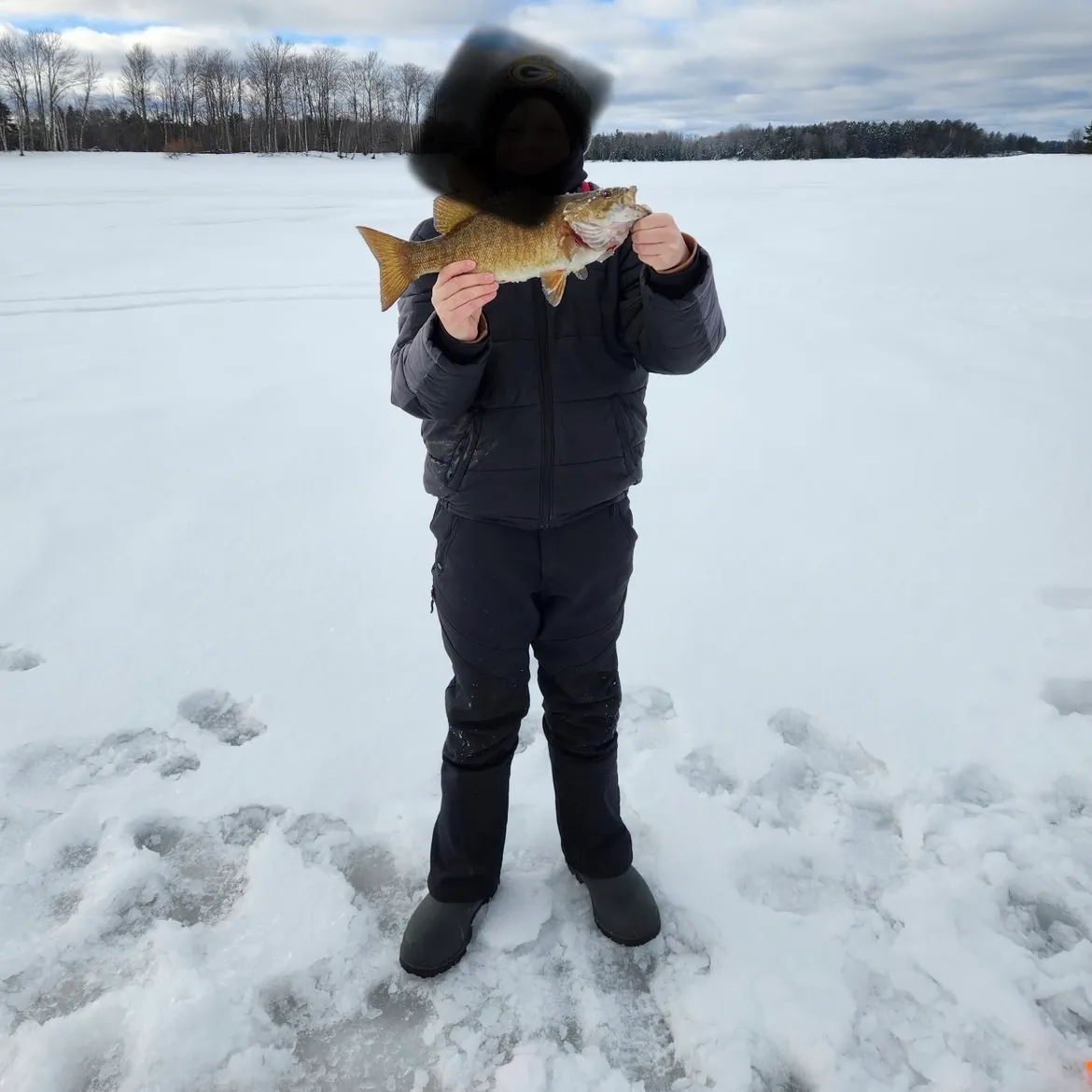 The most recent Smallmouth bass catches on Fishbrain