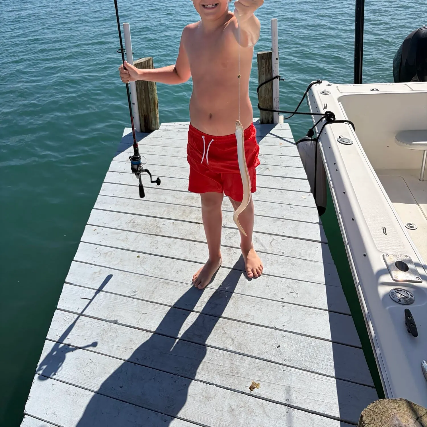 The most recent Shortfin eel catches on Fishbrain
