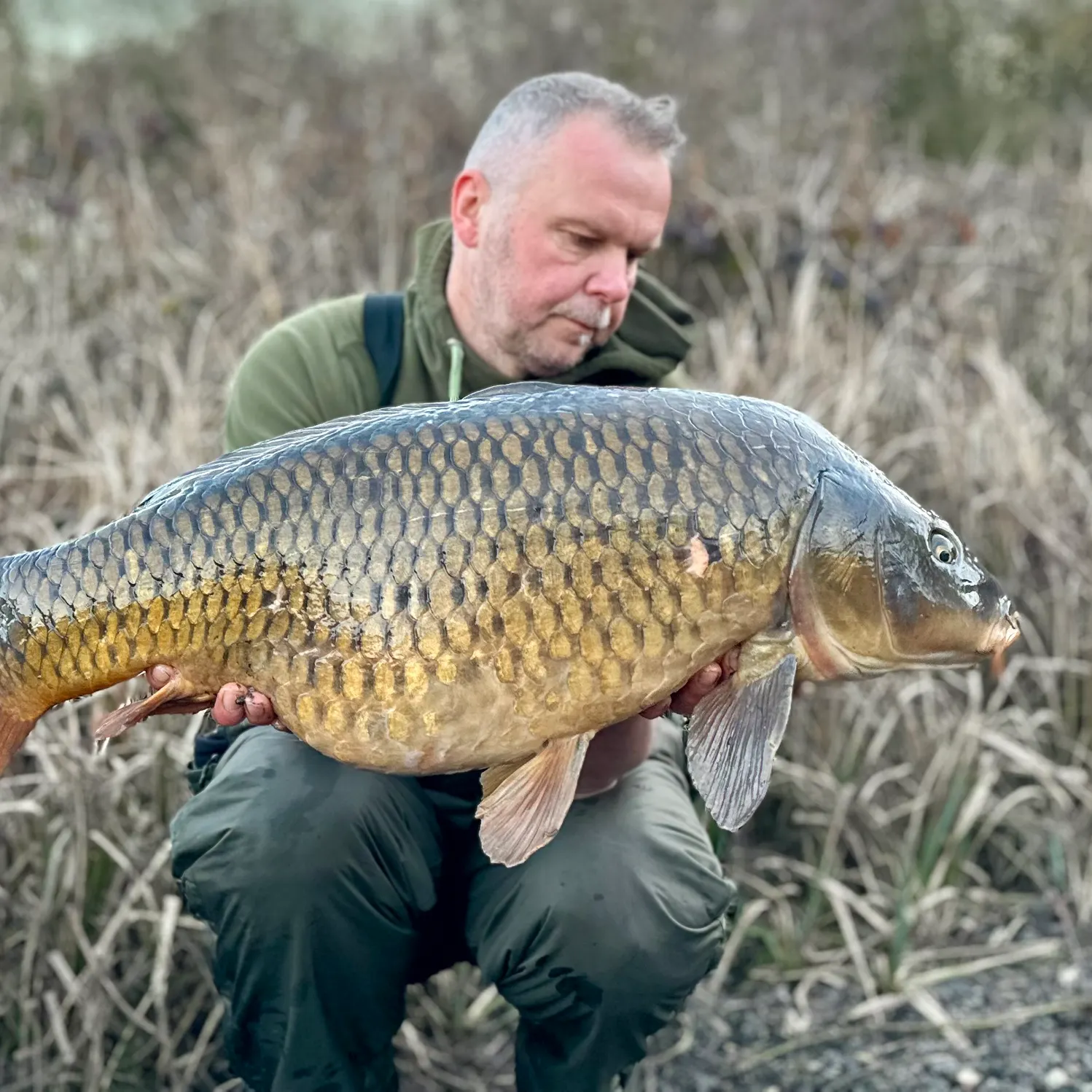 The most recent Common carp catches on Fishbrain