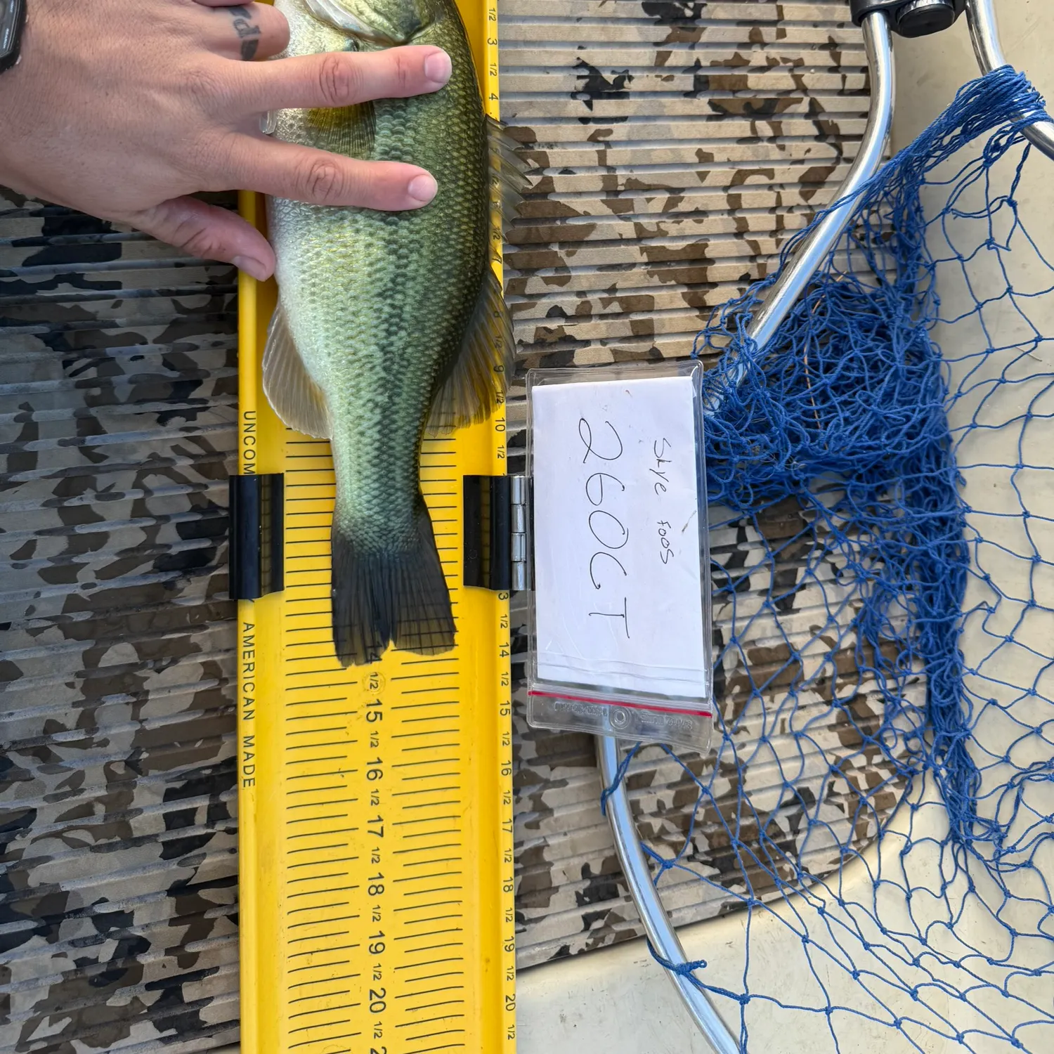 Largemouth bass caught on Fishbrain