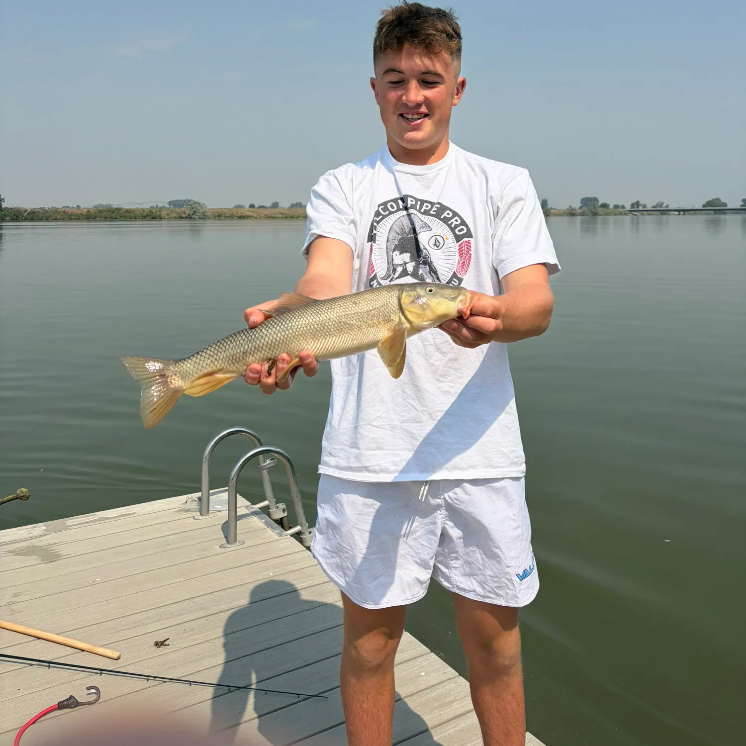 The most recent Largescale sucker catches on Fishbrain