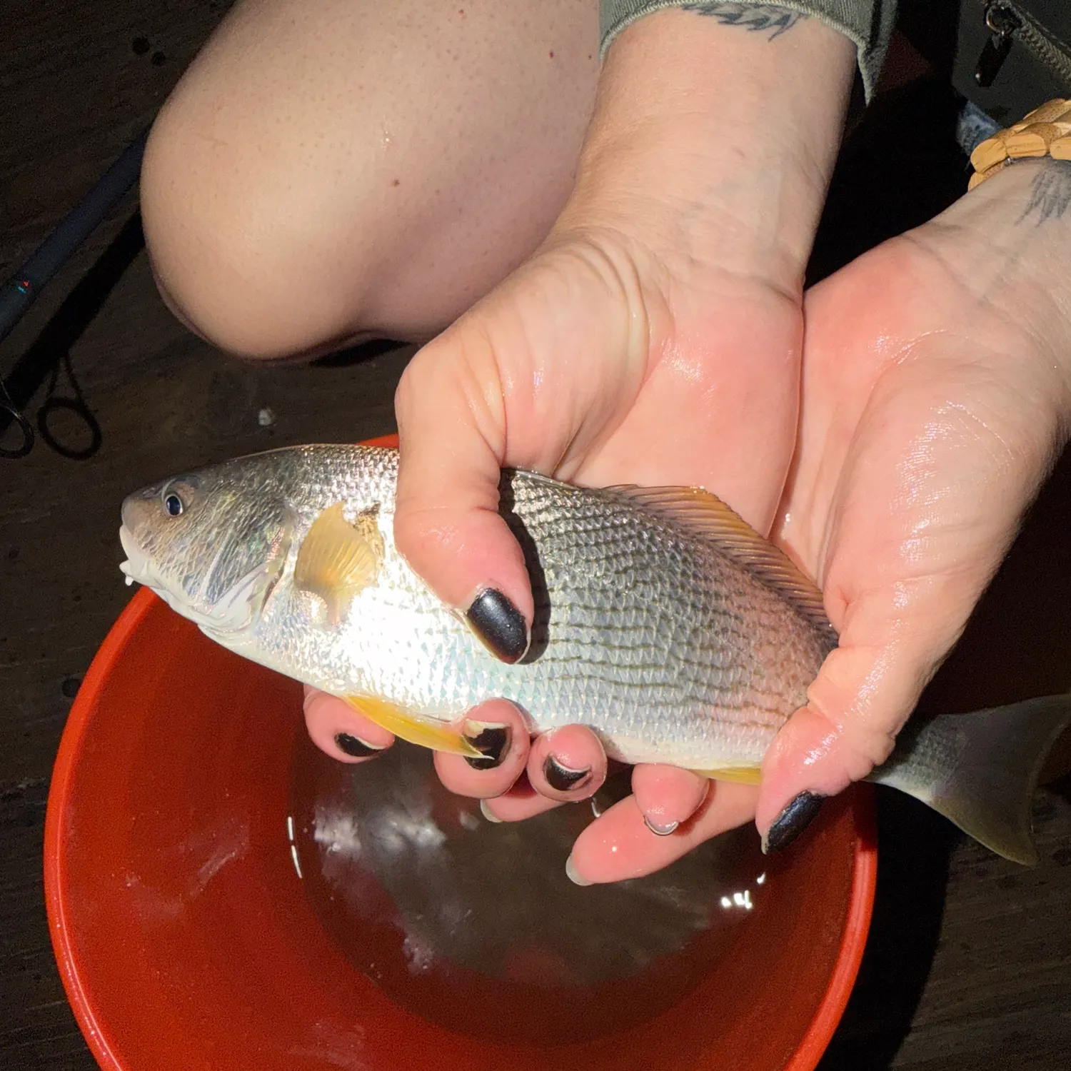catch