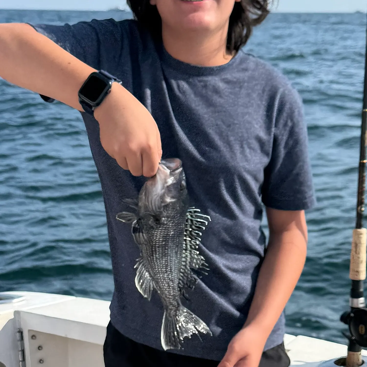 The most recent Black sea bass catches on Fishbrain