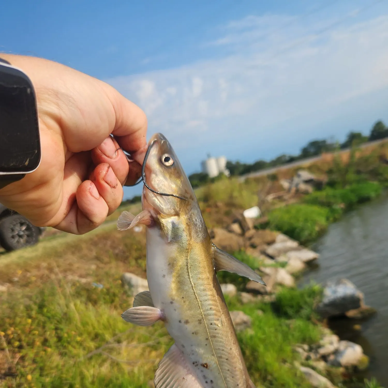 catch